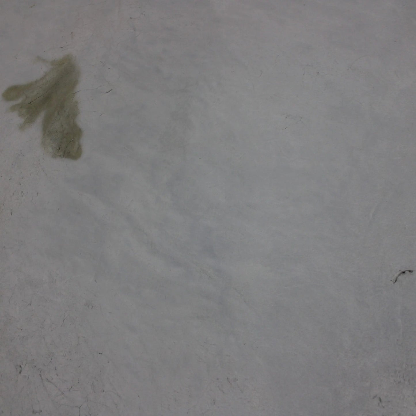 Calf Skin Rug CF129