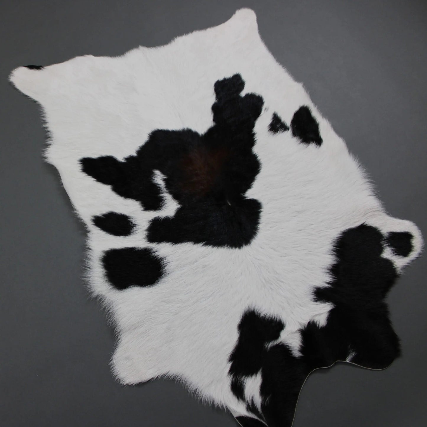 Brown & White Calf Skin Rug CF141 Detail Shot 6