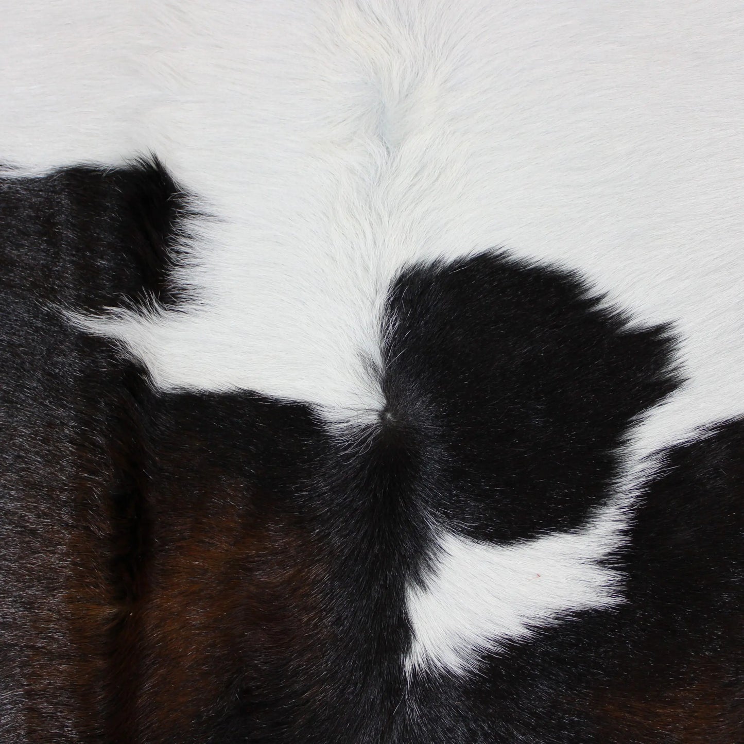 Calf Skin Rug CF172