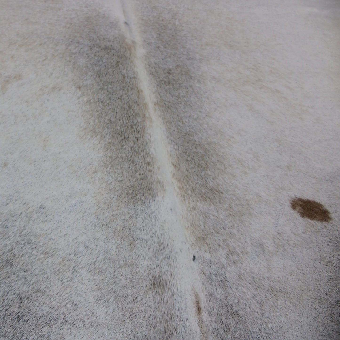 Cowhide Rug Grey C00840