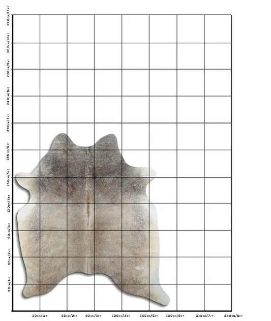 Cowhide Rug Tan Grey C01033