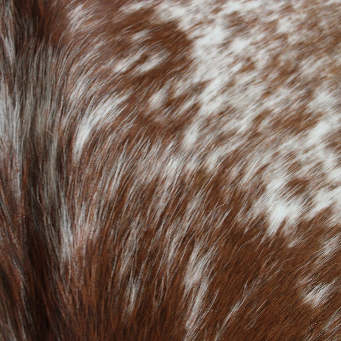 Cowhide Rug Speckled C01092