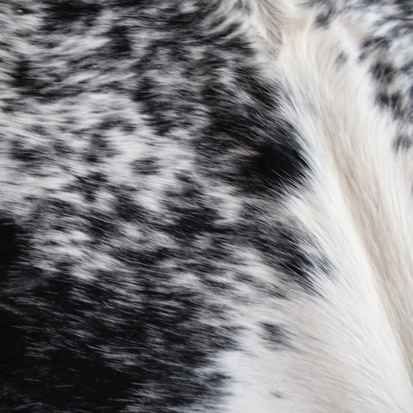 Speckled Cowskin Rug C01107