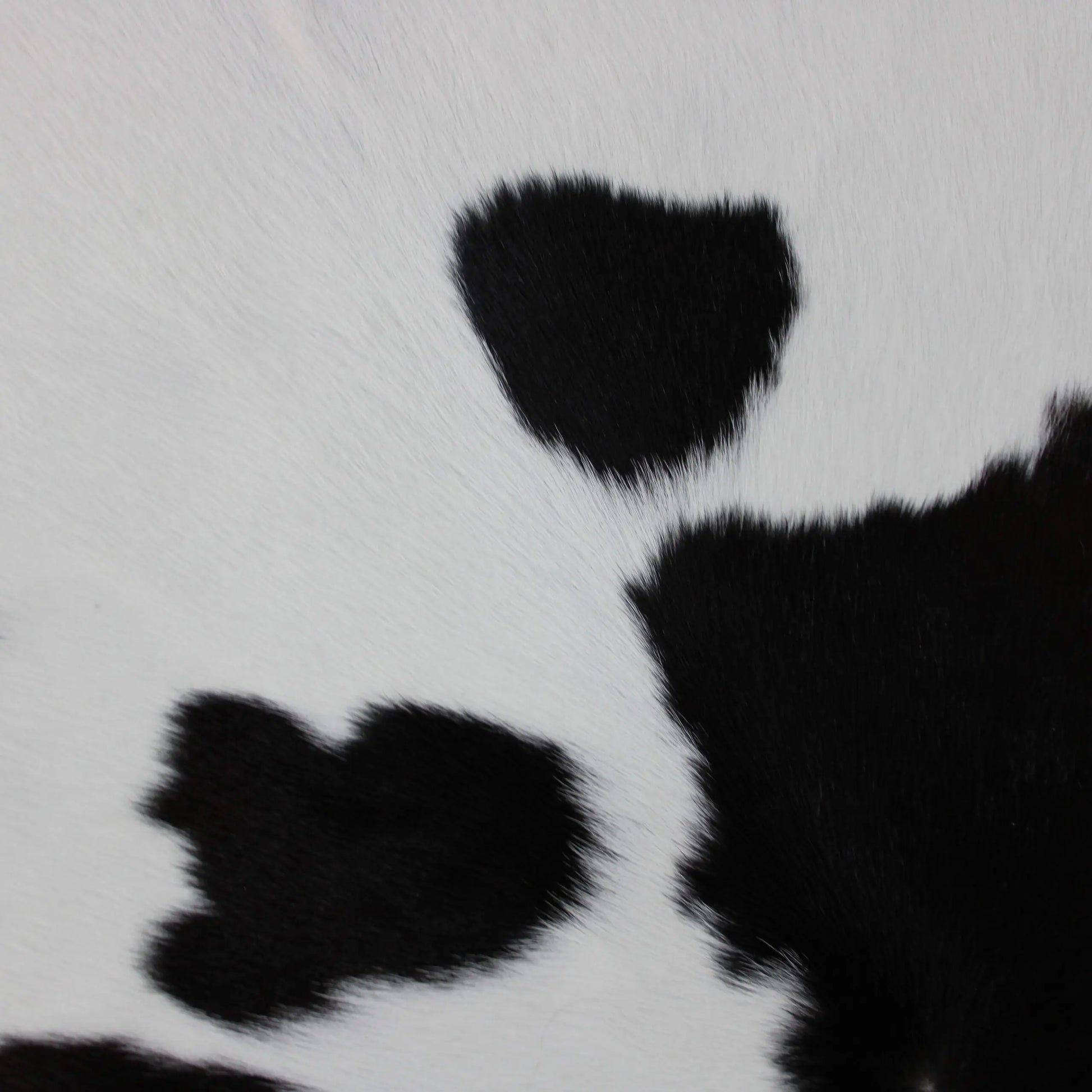 Calf Skin Rug CF113