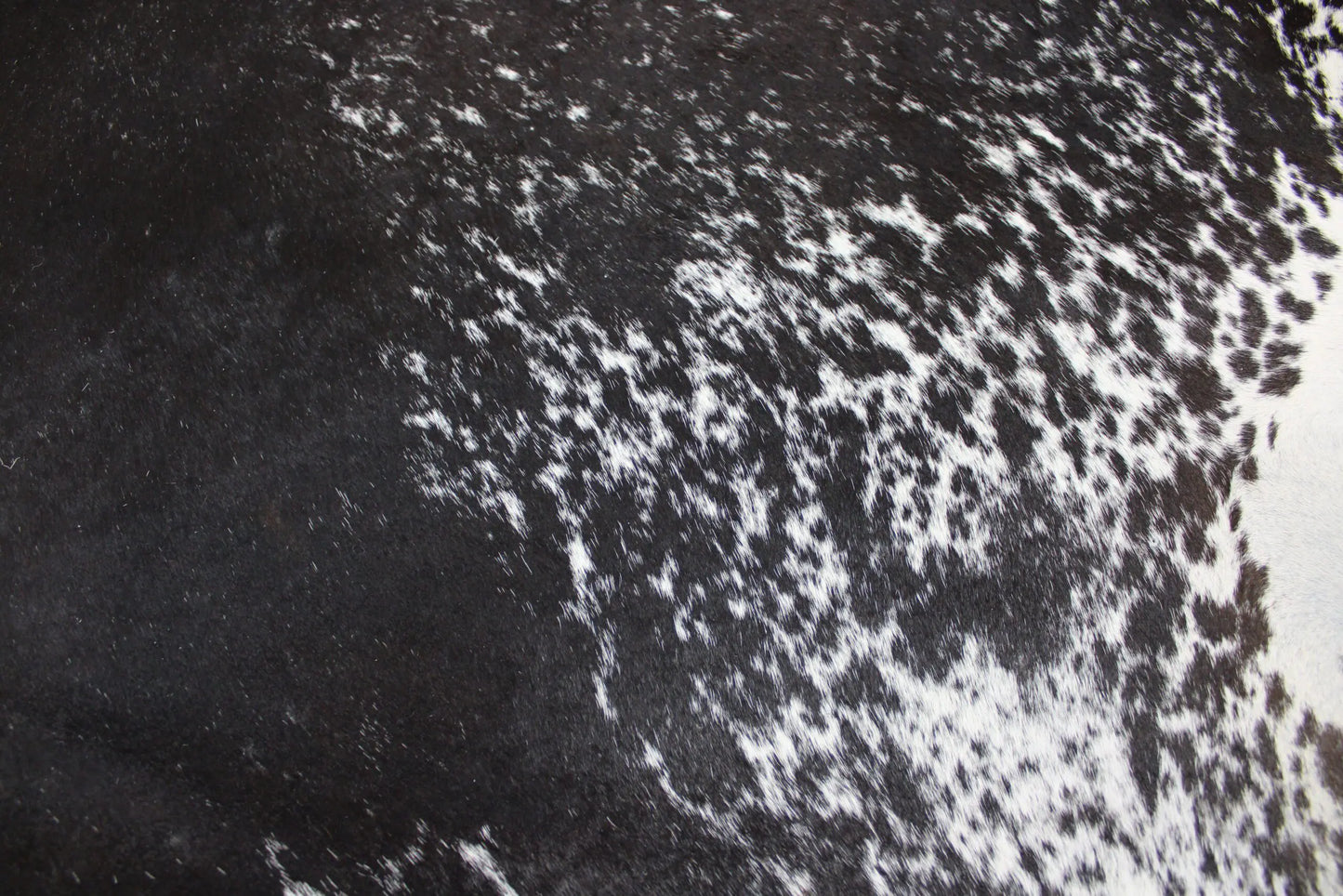 Cowhide Rug Speckled C00563
