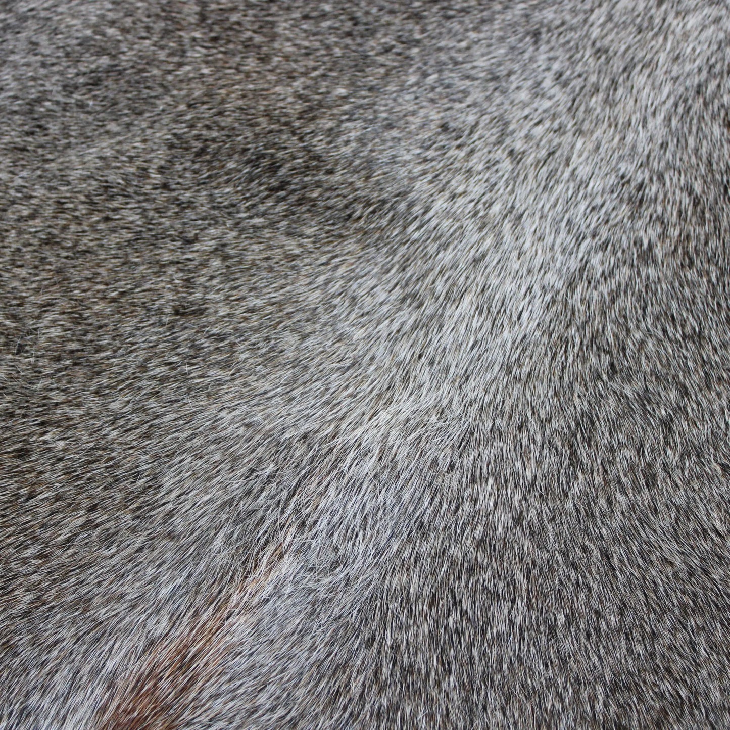 Cowhide Rug Grey C00795