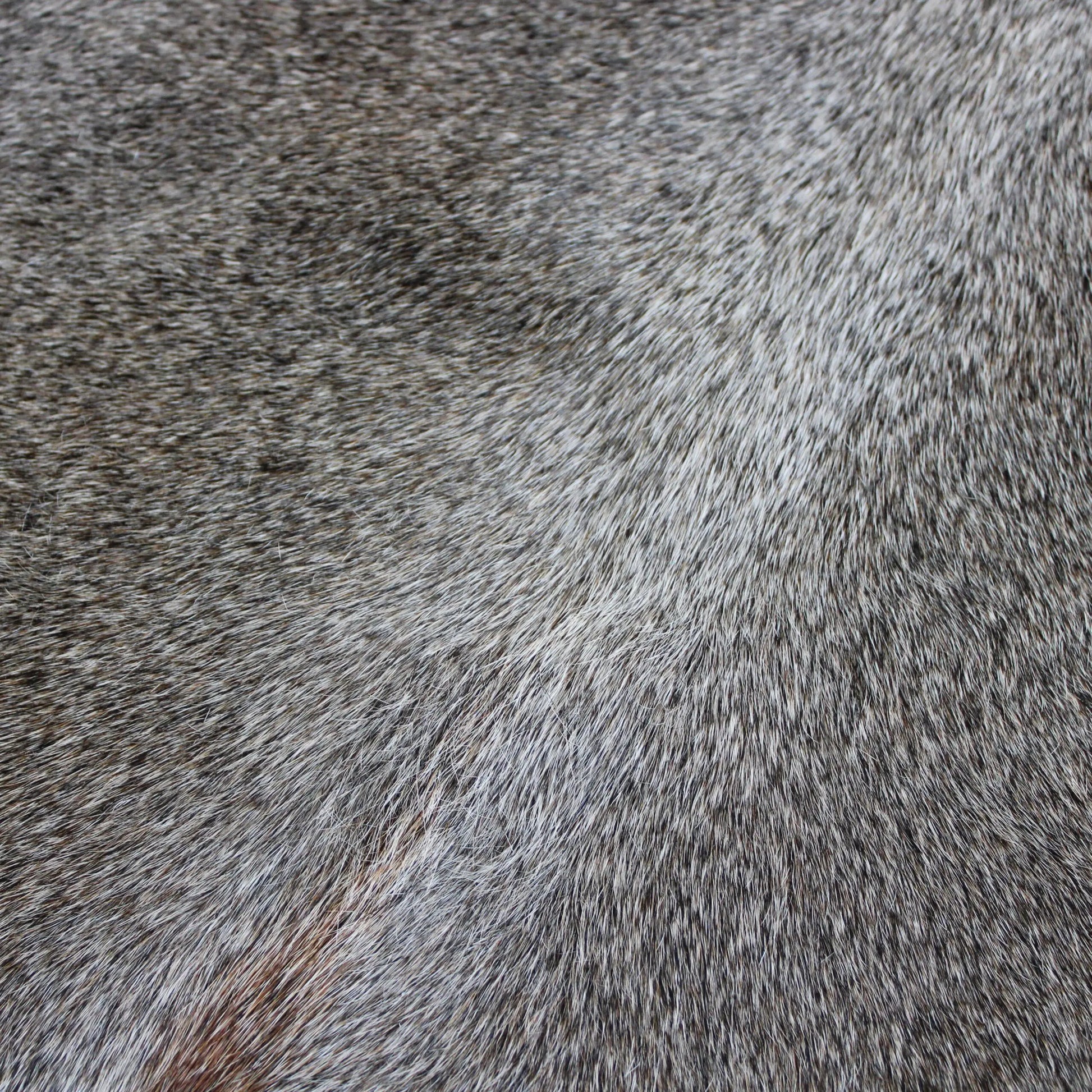 Cowhide Rug Grey C00795