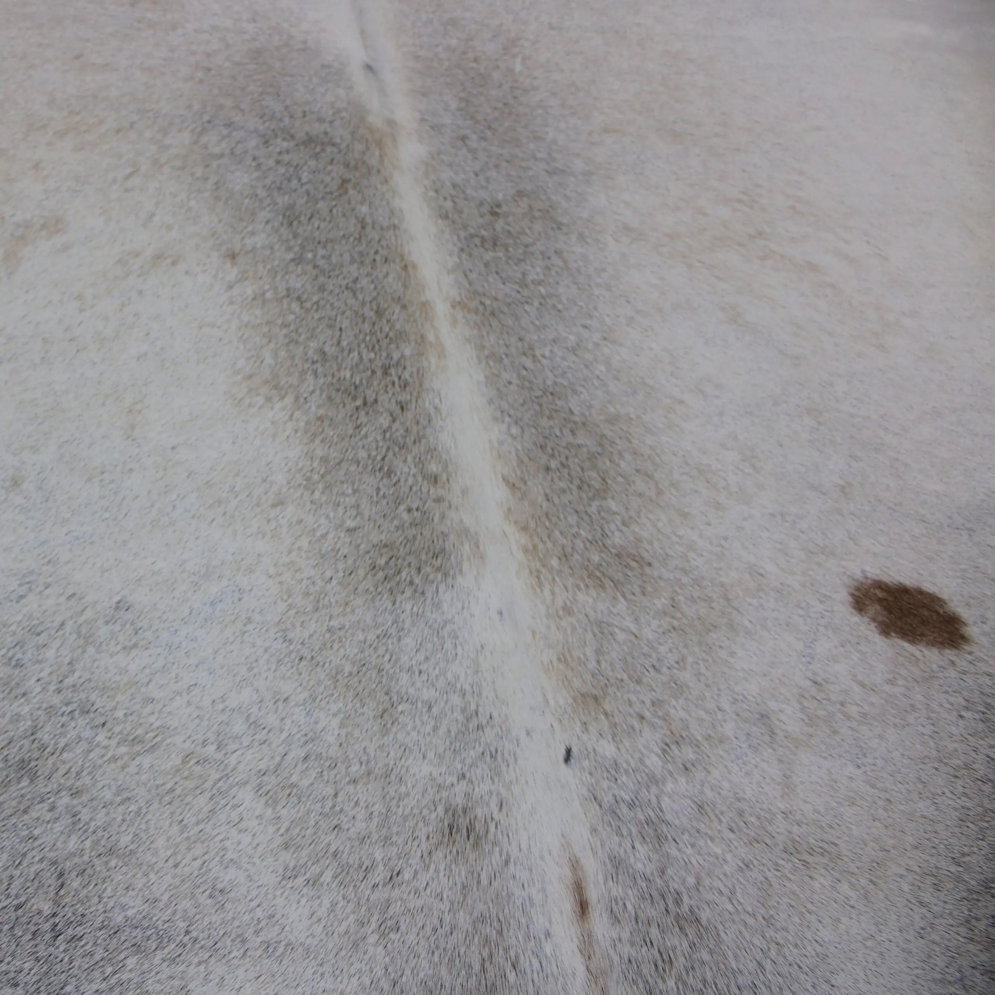 Cowhide Rug Grey C00840