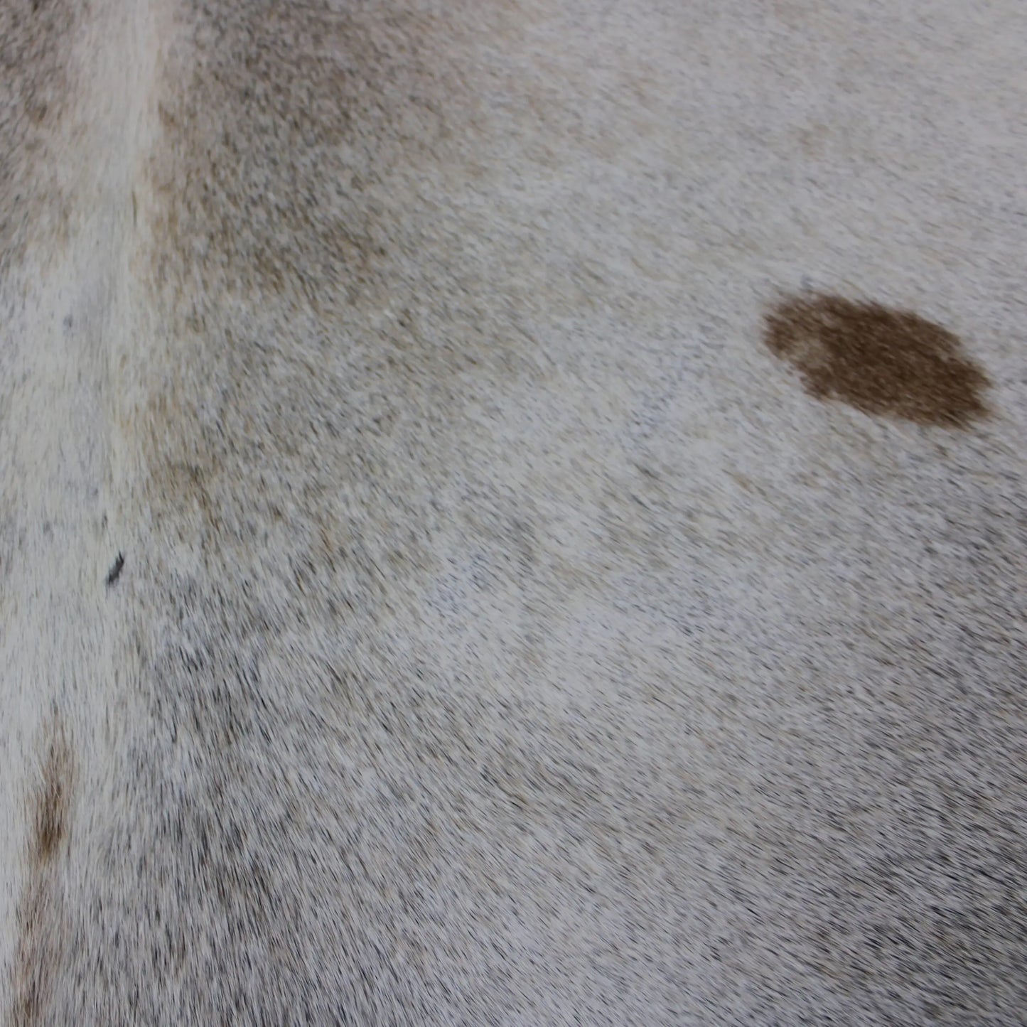 Cowhide Rug Grey C00840