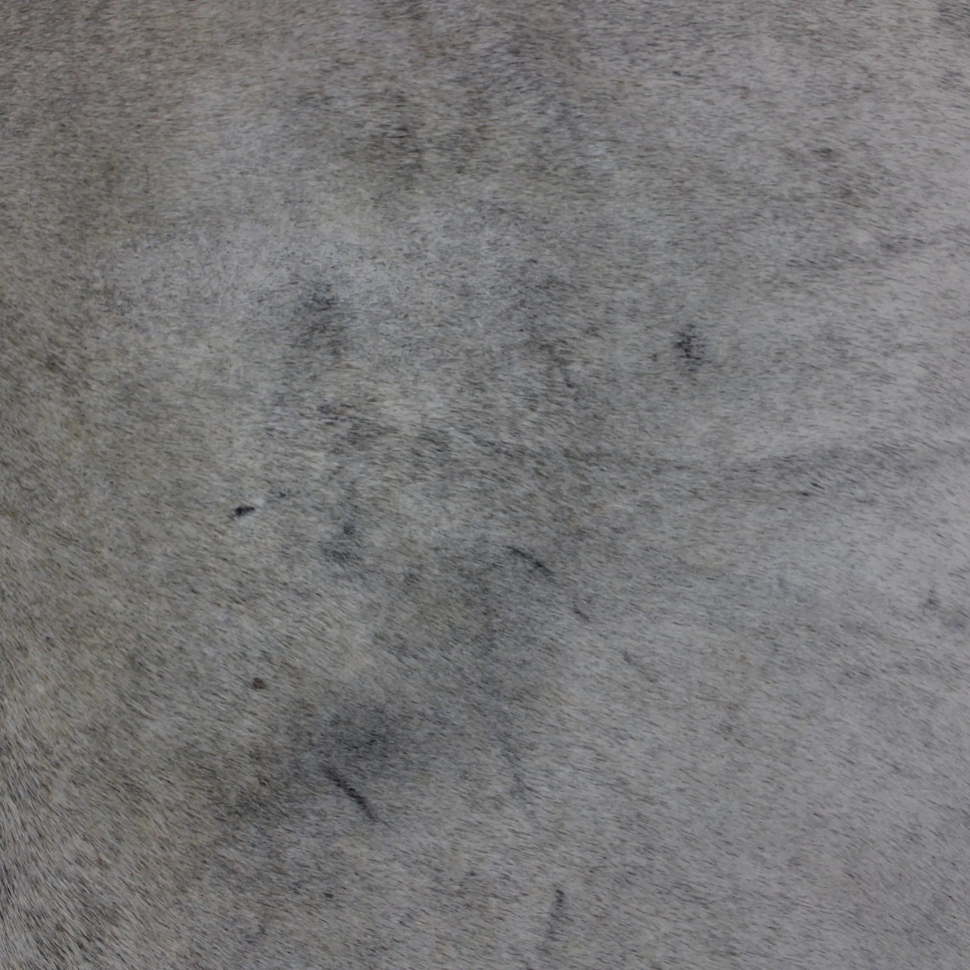 Cowhide Rug Grey C00843