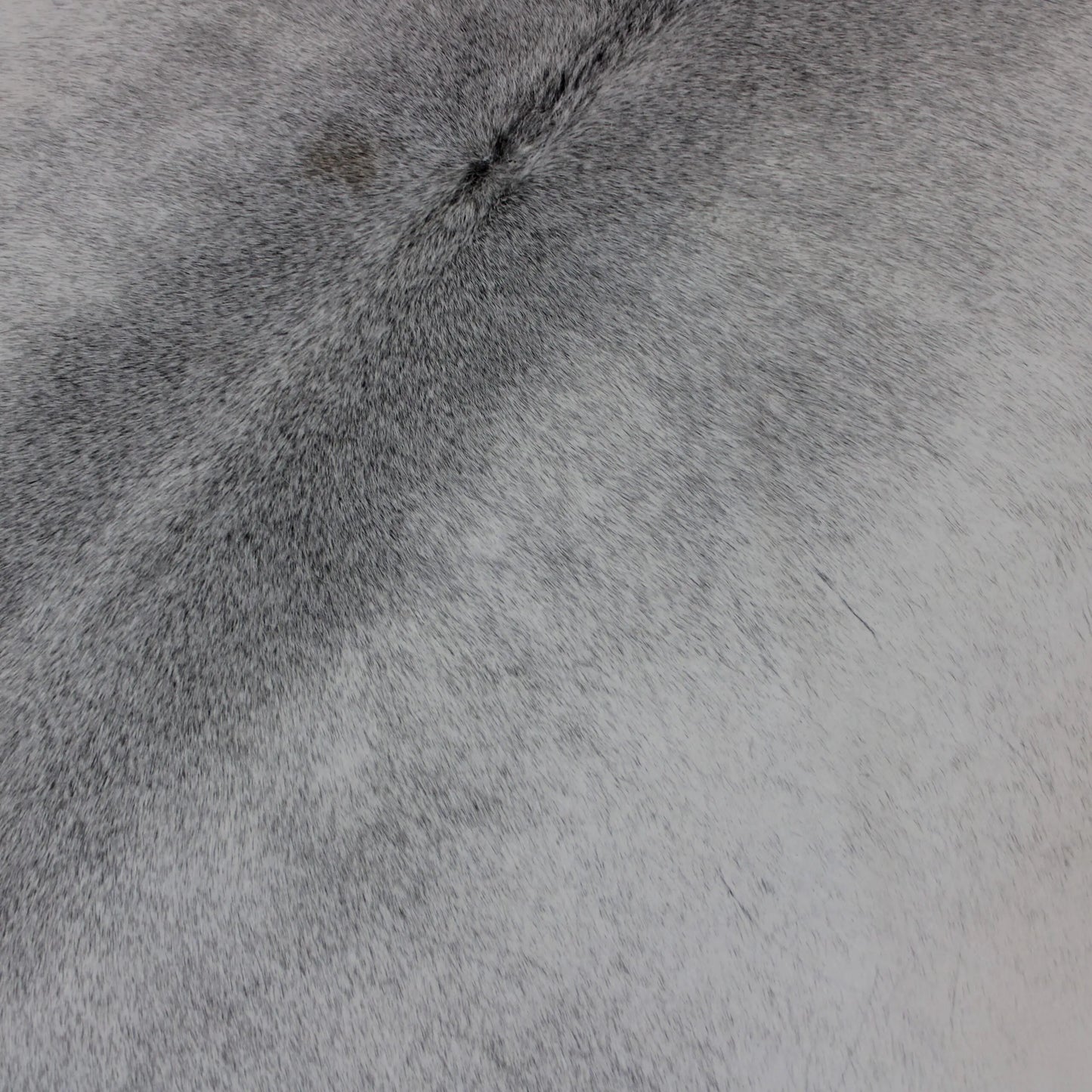 Cowhide Rug Grey C00849
