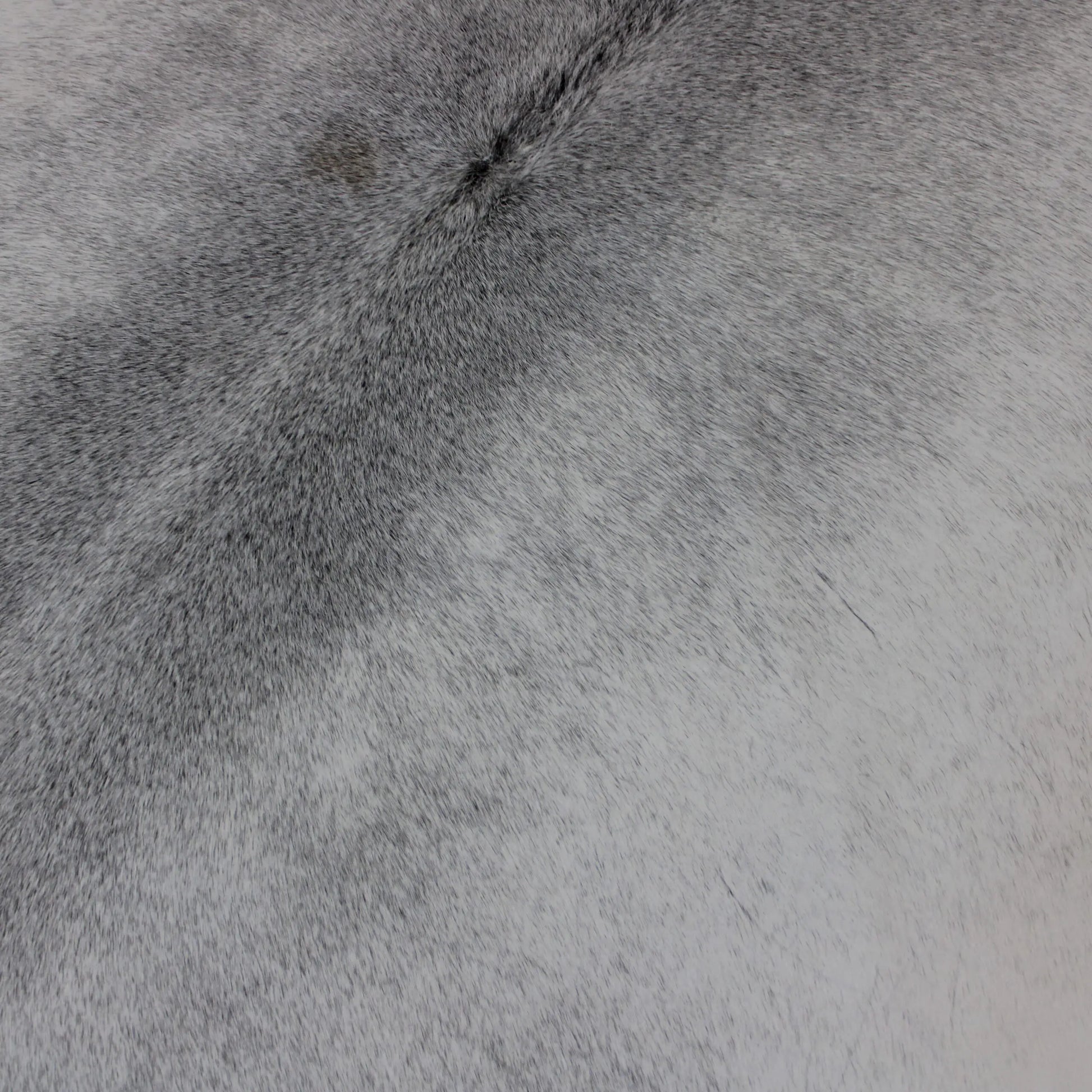 Cowhide Rug Grey C00849