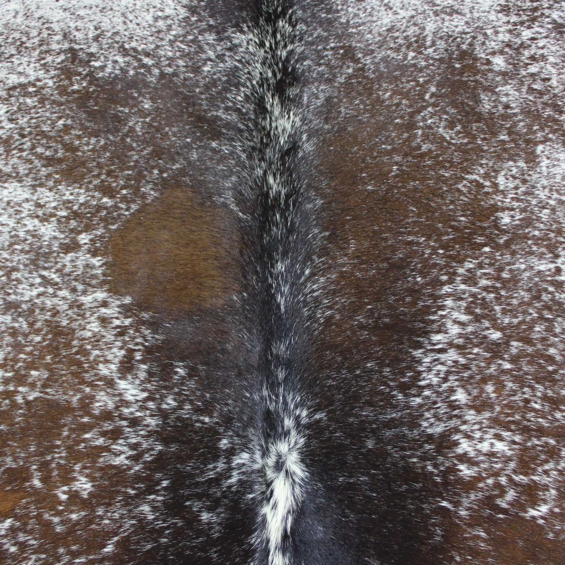 Cowhide Rug Speckled C00879