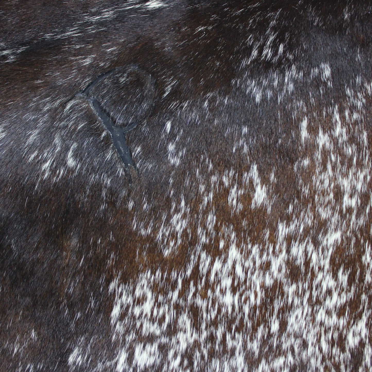 Cowhide Rug Speckled C00879