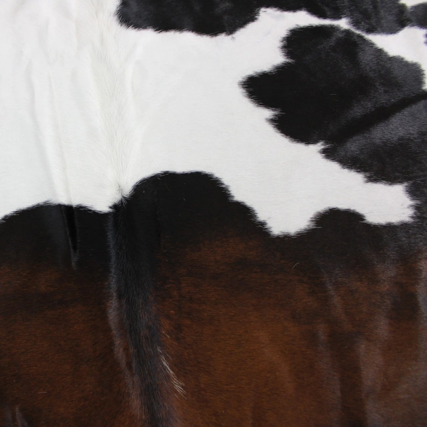 Cowhide Rug Exotic C00913