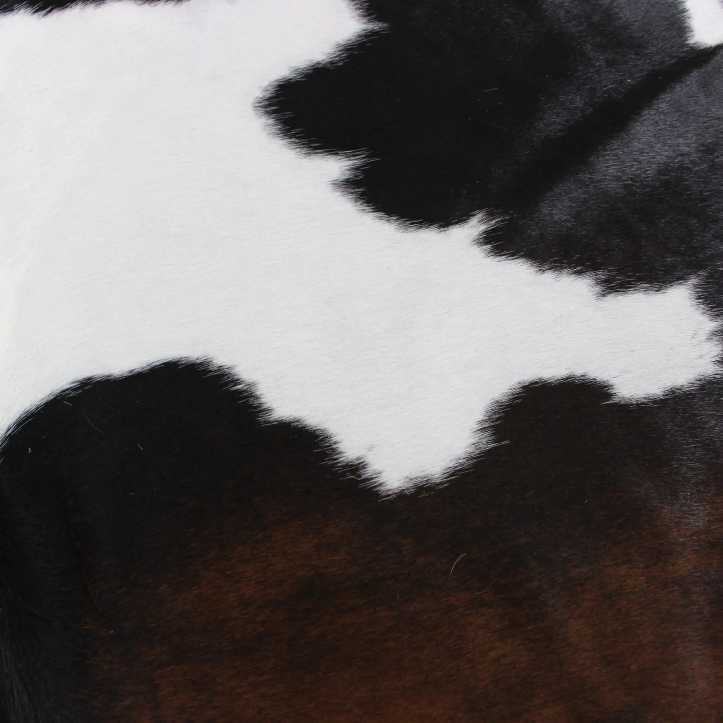Cowhide Rug Exotic C00913