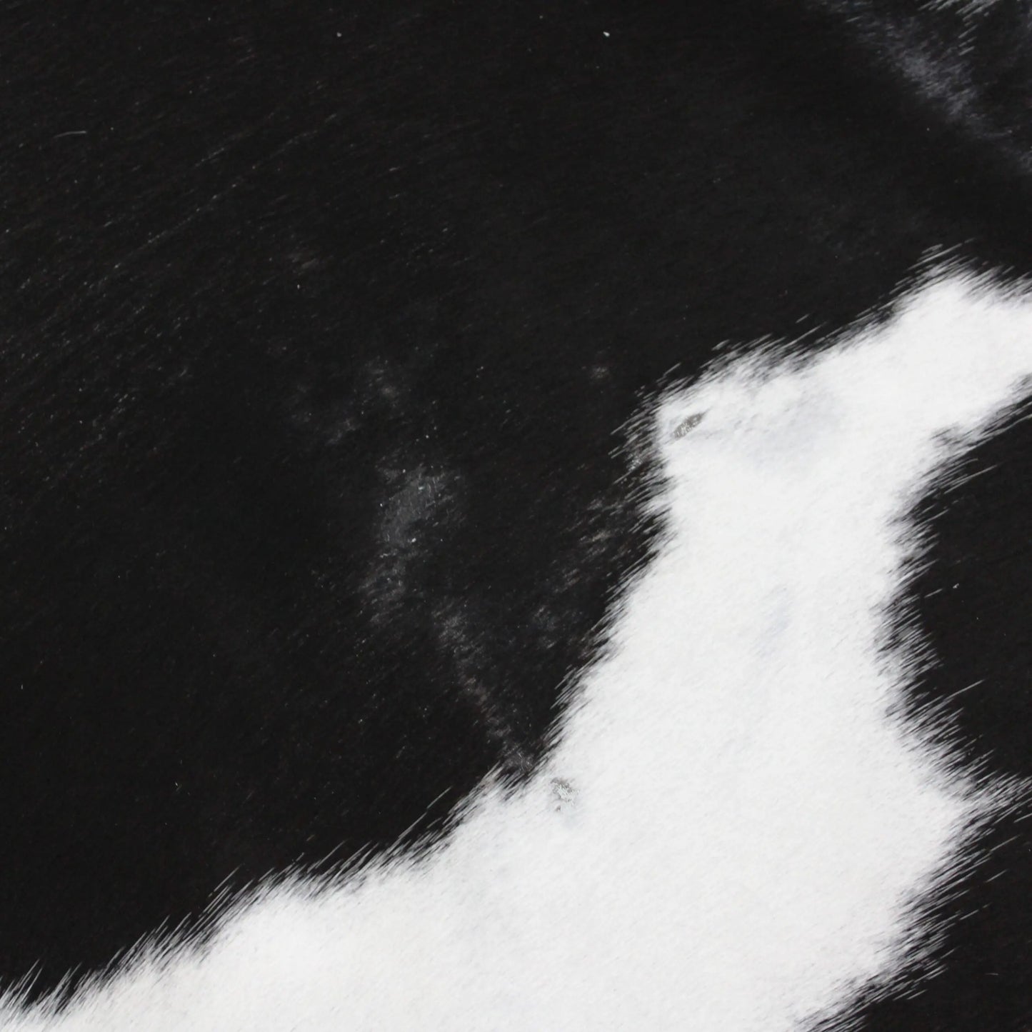 Cowhide Rug Exotic C00913
