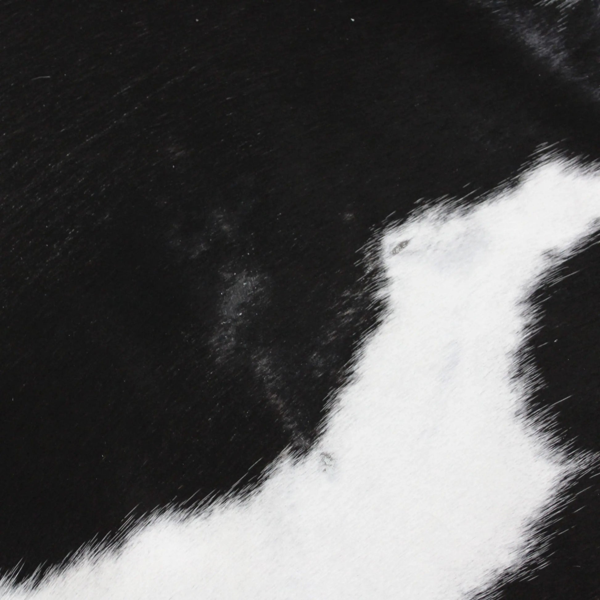 Cowhide Rug Exotic C00913