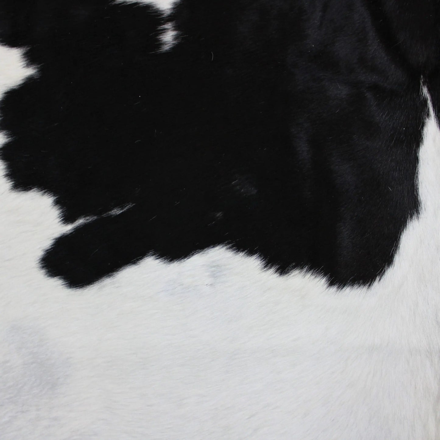 Cowhide Rug Black and White C00936