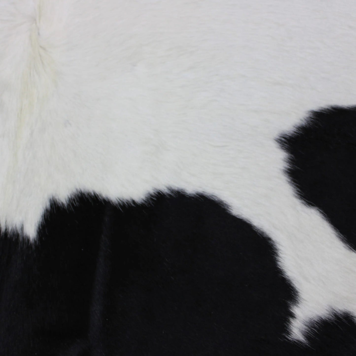 Cowhide Rug Black and White C00936