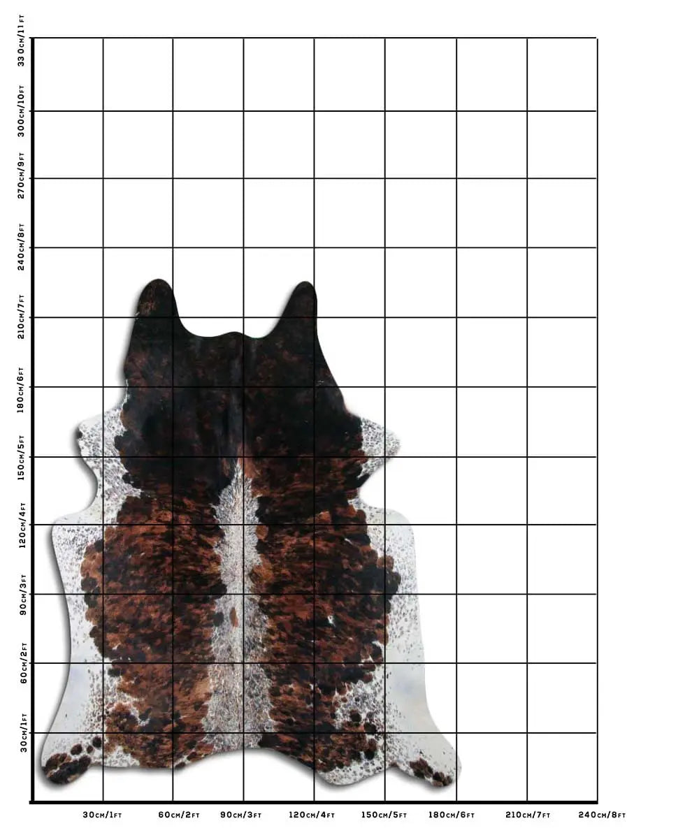 Cowhide Rug Exotic C00977