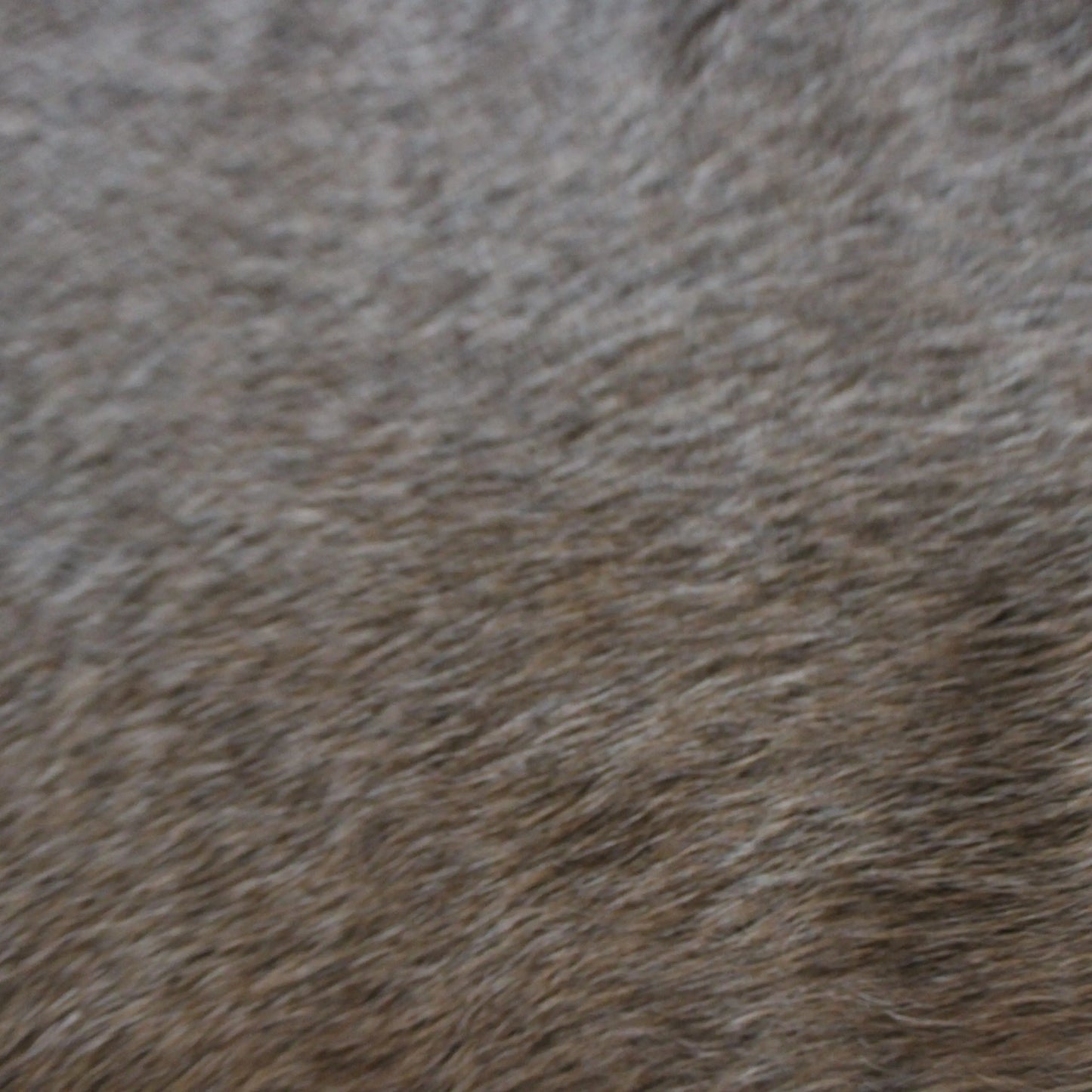 Cowhide Rug Tan Grey C01037