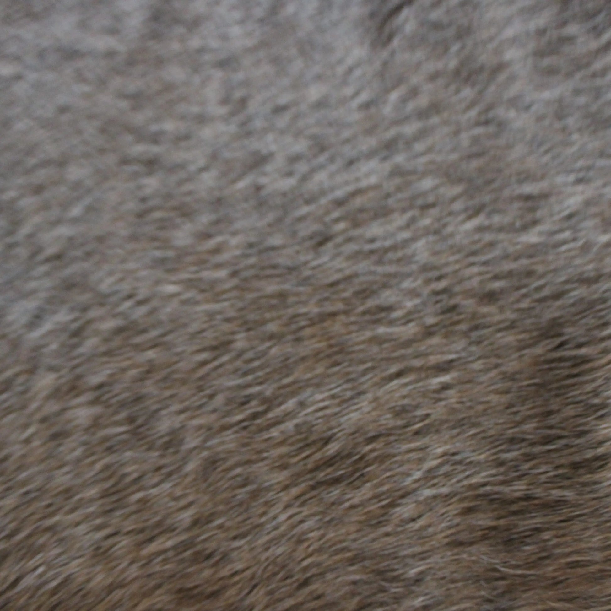 Cowhide Rug Tan Grey C01037