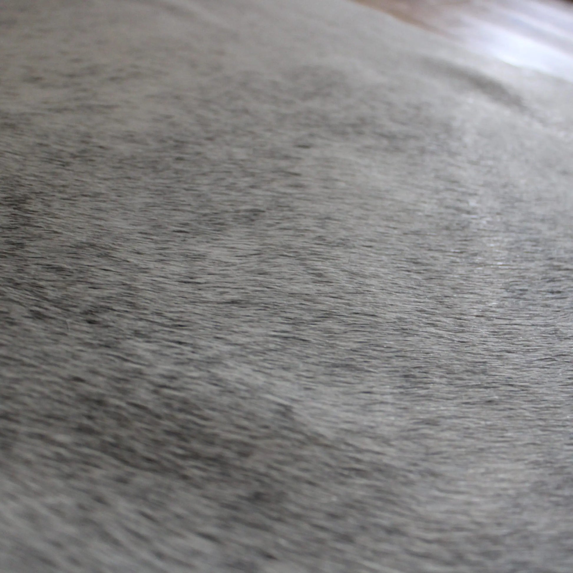Cowhide Rug Grey C01052