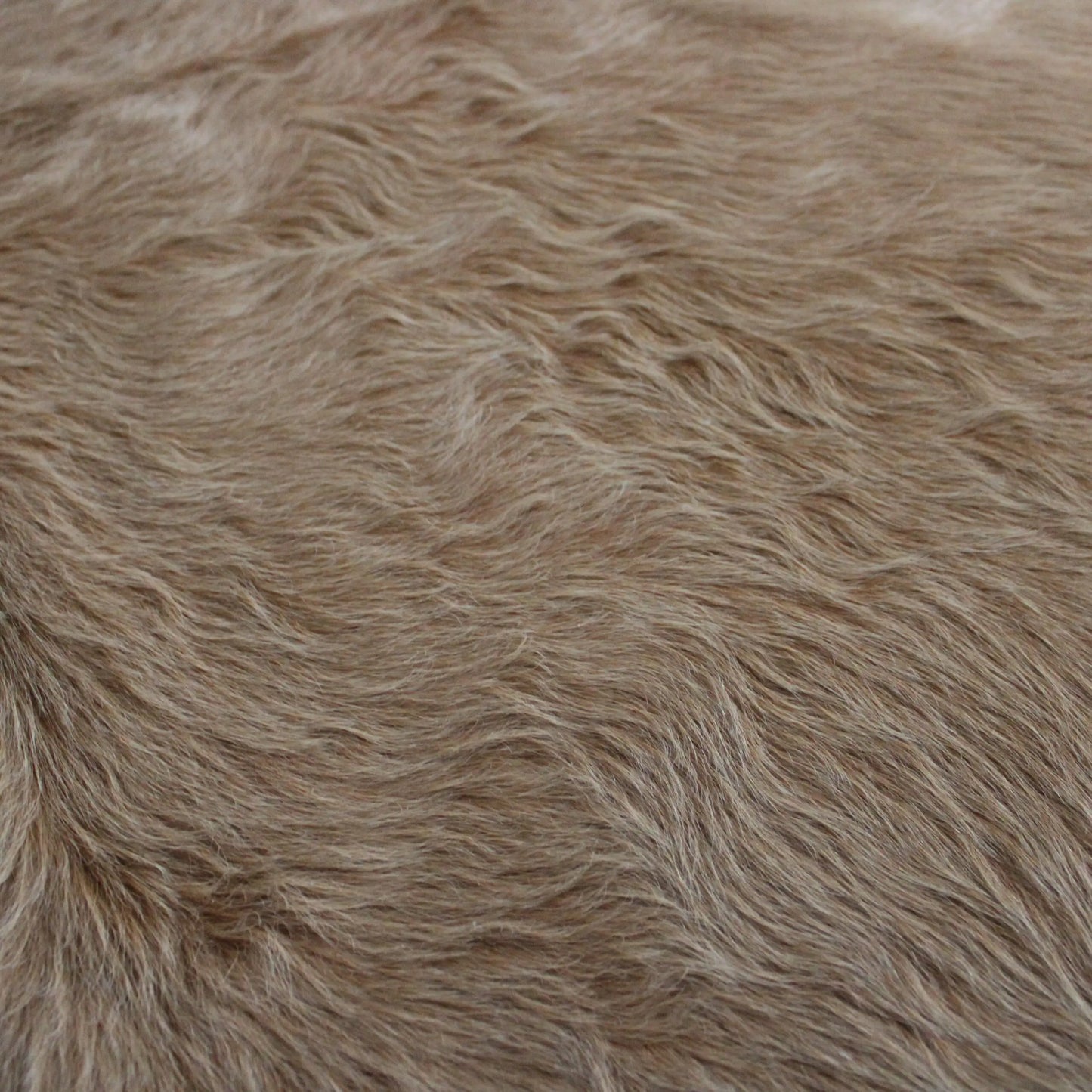 Cowhide Rug Exotic Beige C01056