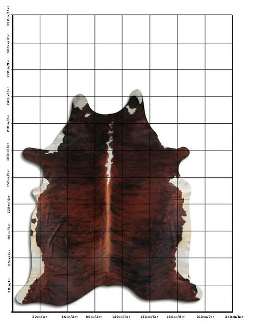 Cowhide Rug Exotic C01059