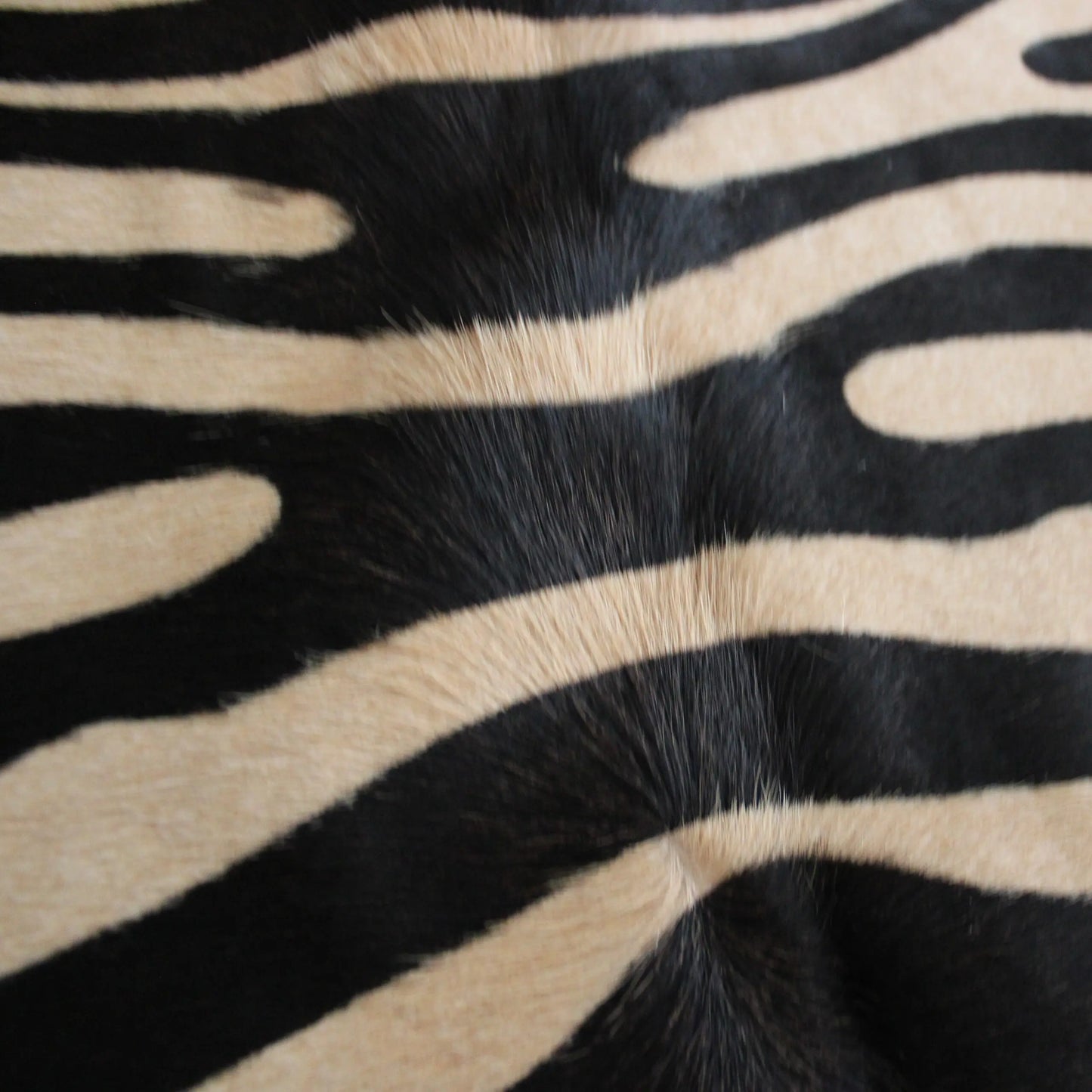 Zebra Print Cowhide Rug C01065