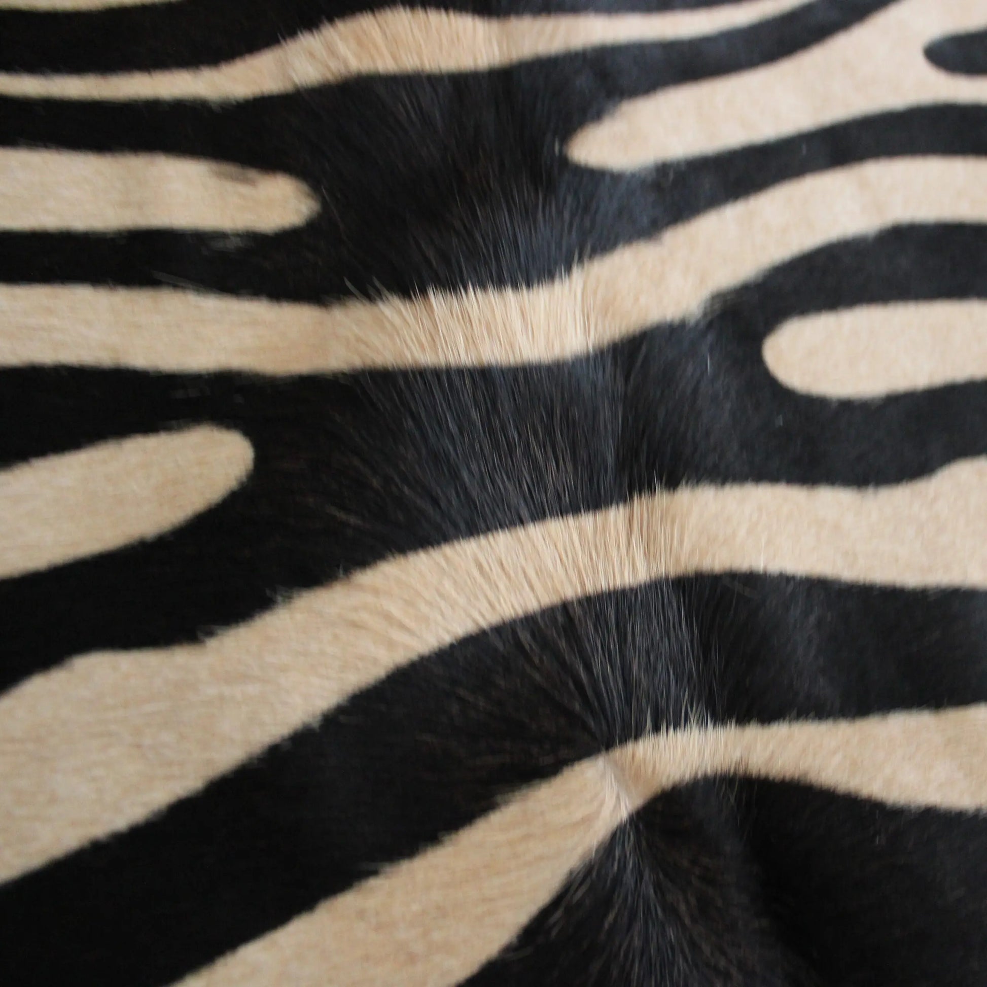 Zebra Print Cowhide Rug C01065