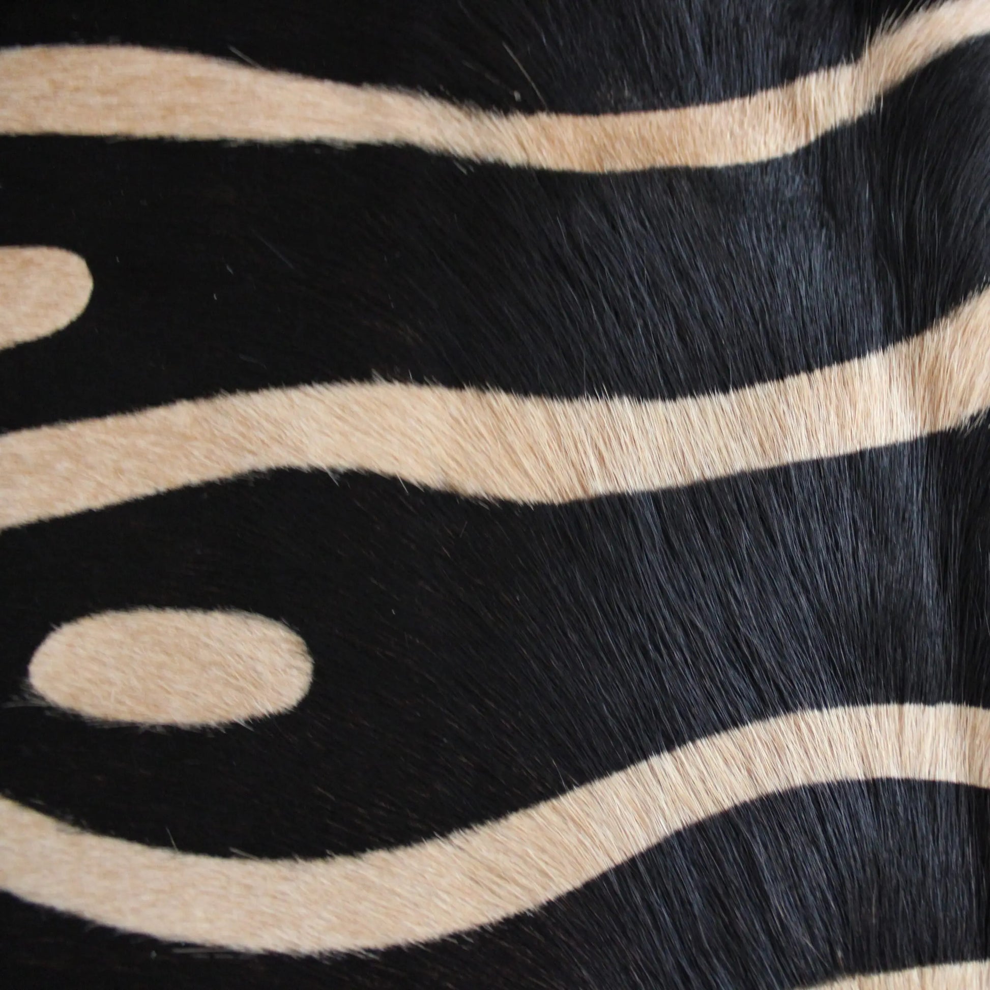 Zebra Print Cowhide Rug C01065