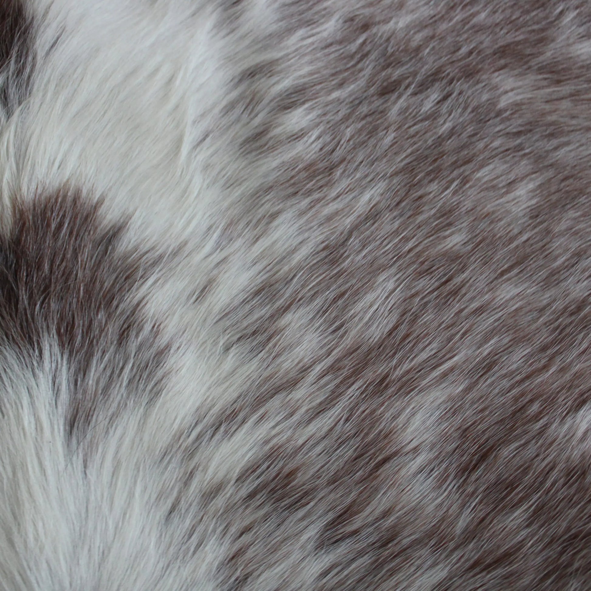 Cowhide Rug Speckled C01070