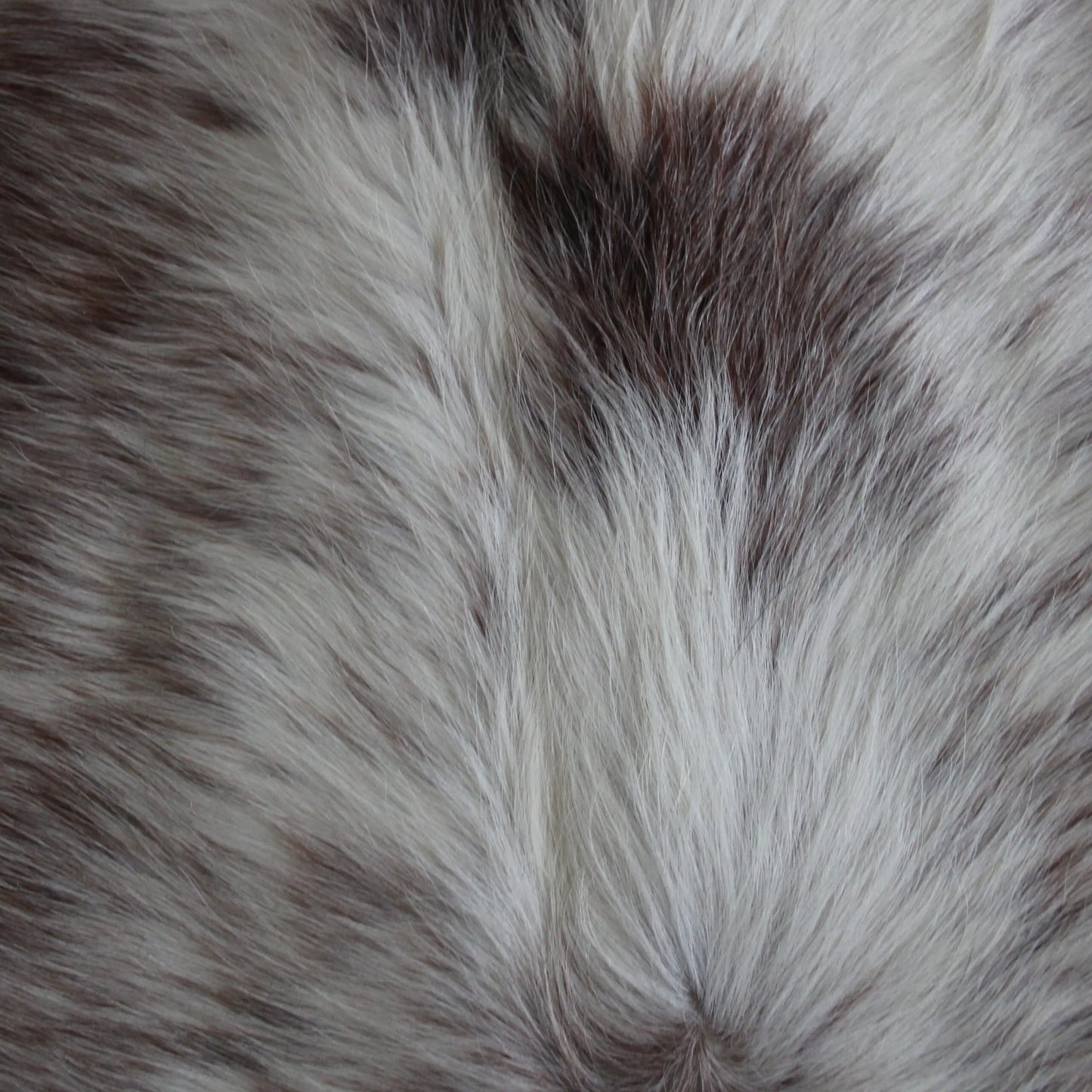 Cowhide Rug Speckled C01070