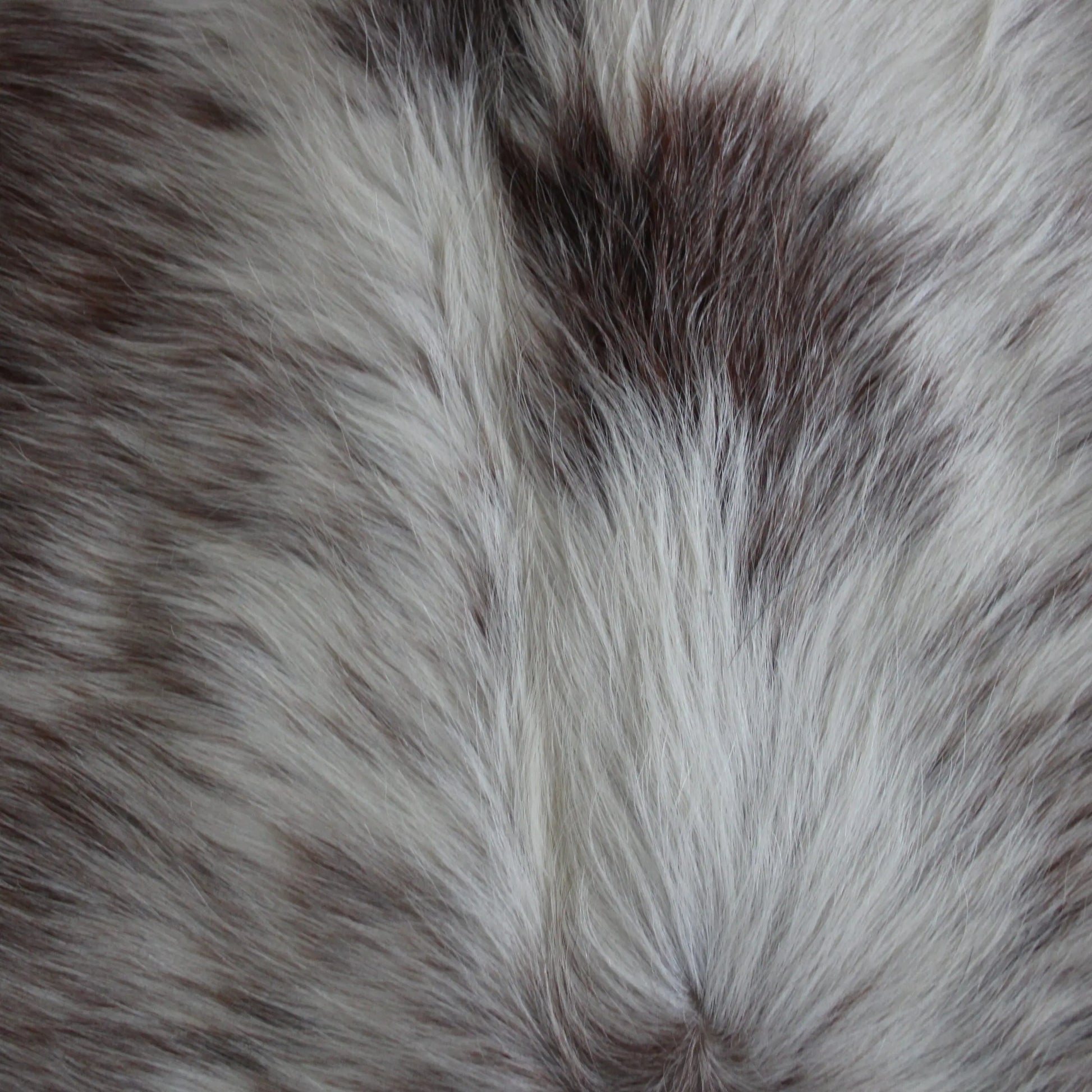 Cowhide Rug Speckled C01070