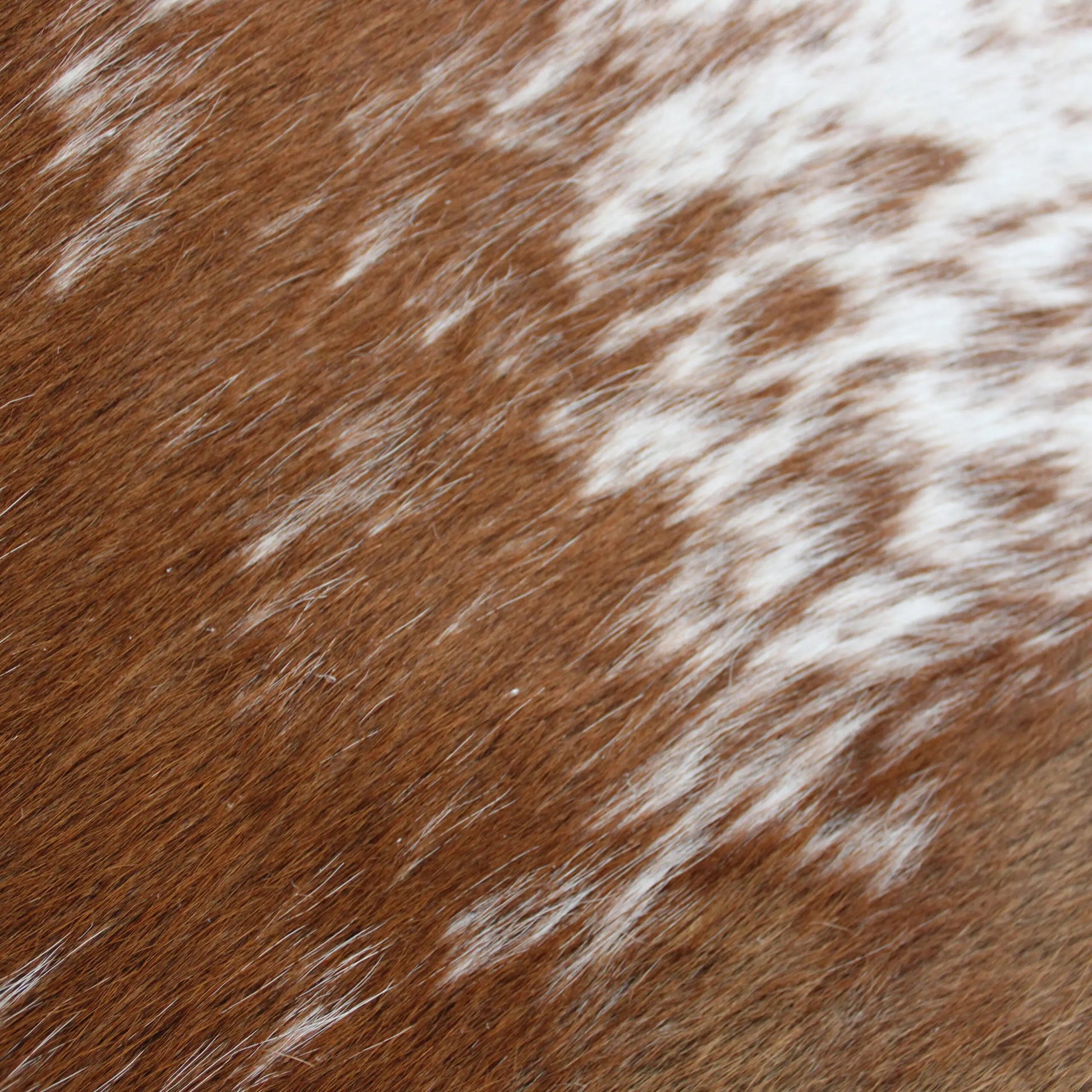 Cowhide Rug Speckled C01092