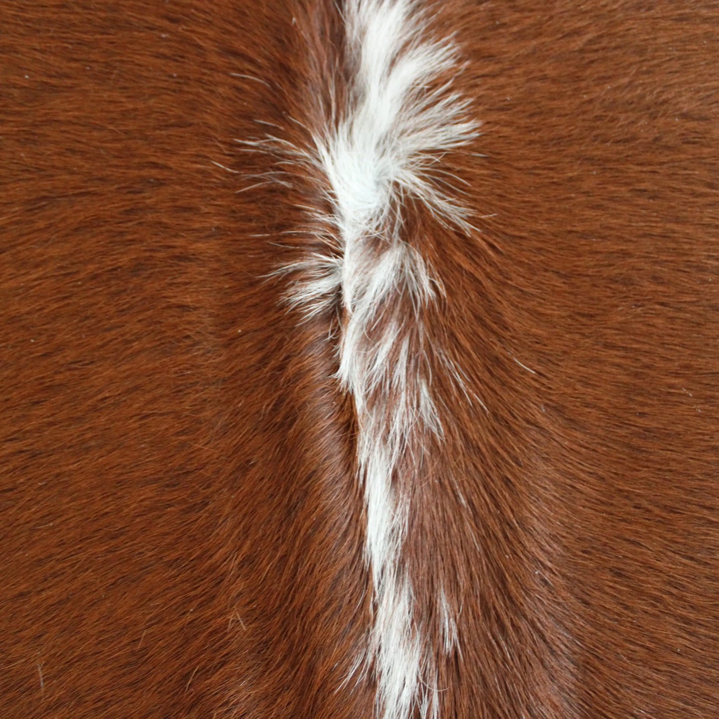 Cowhide Rug Speckled C01092