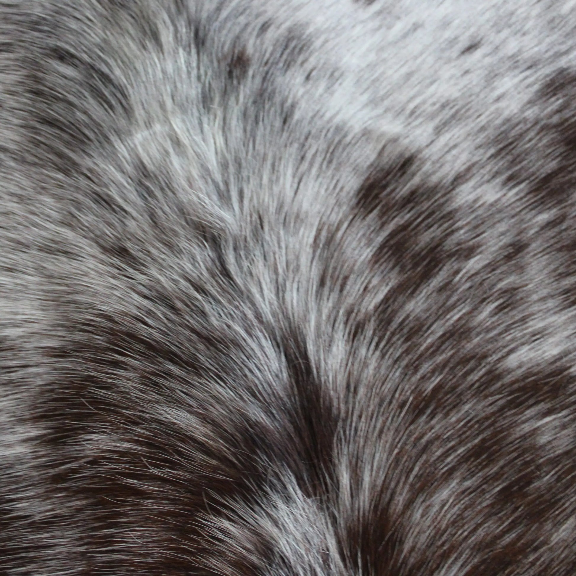 Cowhide Rug Speckled C01104