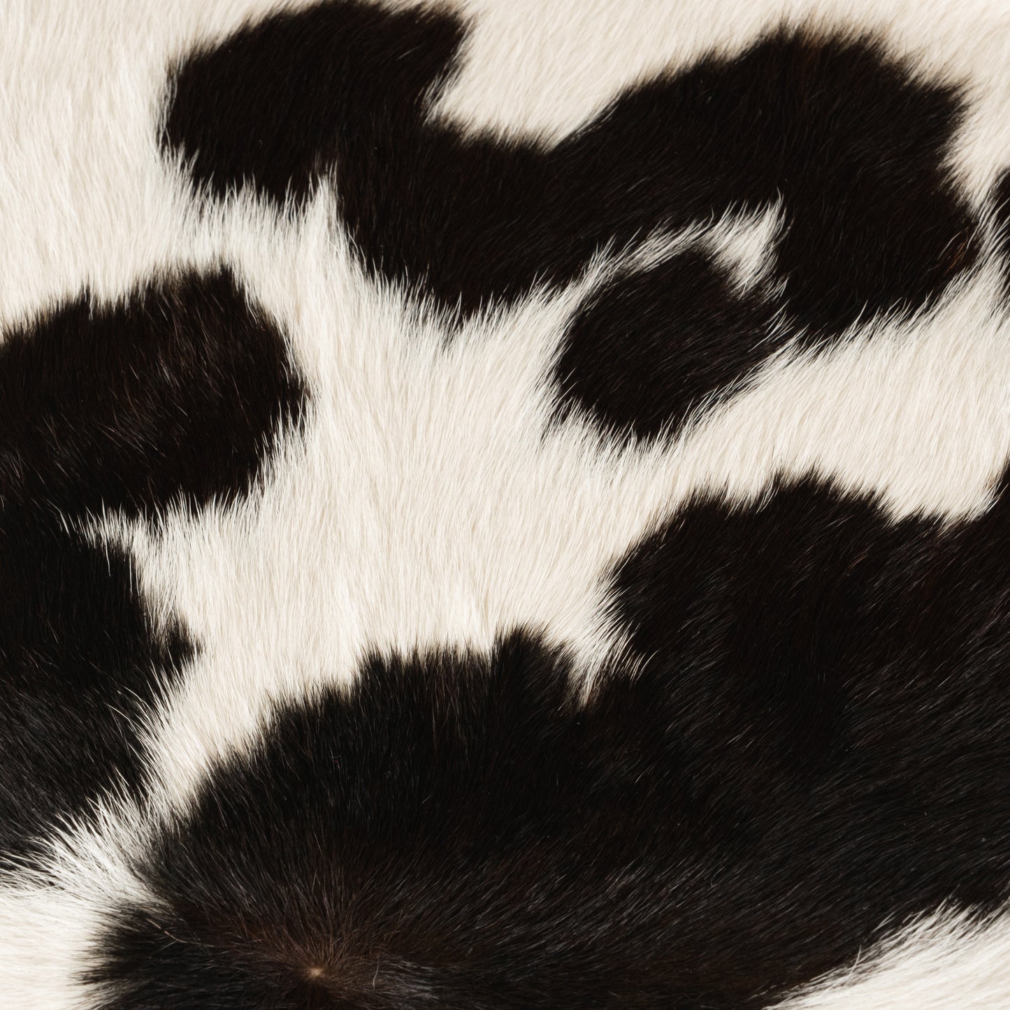 Black & White Calf Skin Rug CF110 Detail Shot 1