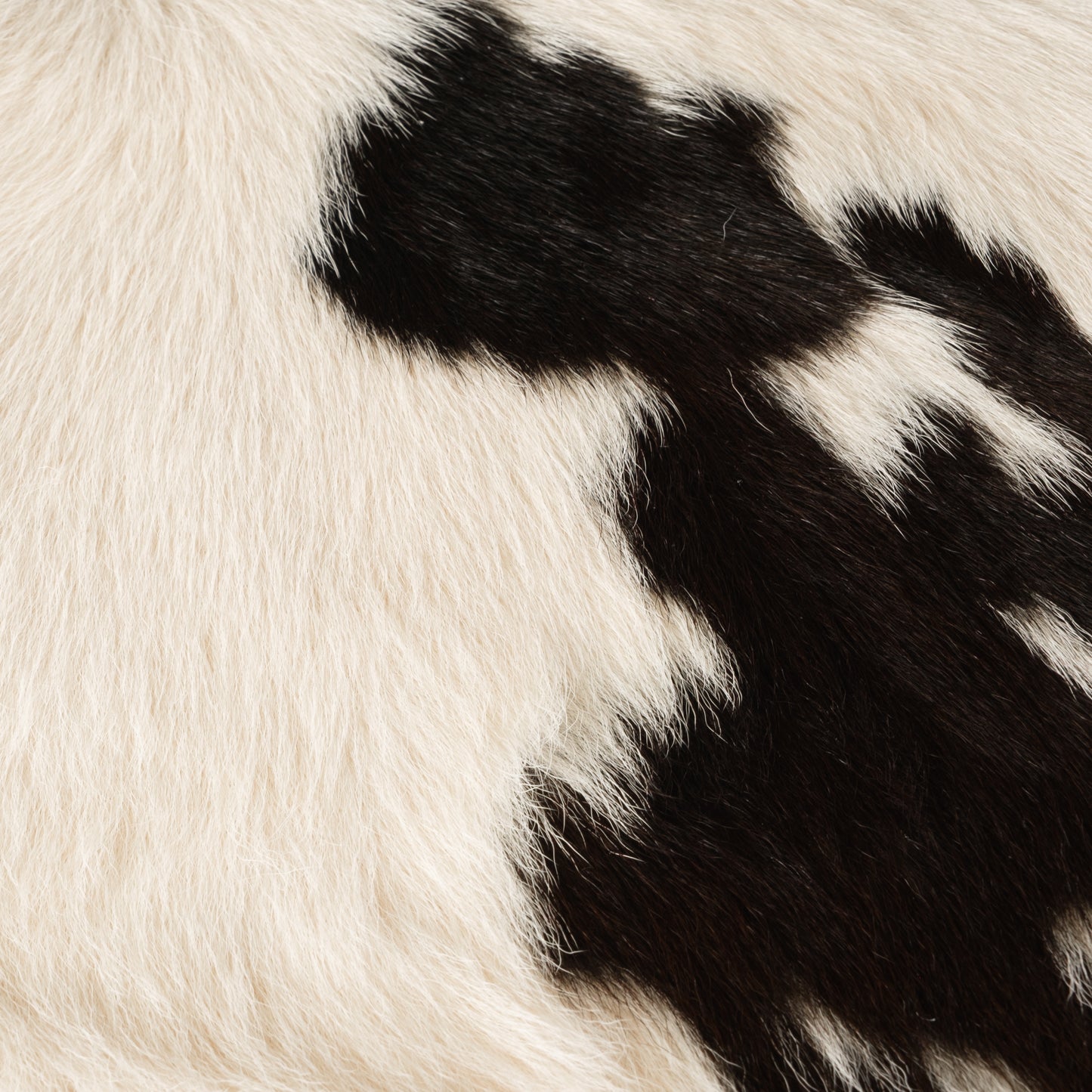 Black & White Calf Skin Rug CF111 Detail Shot 1