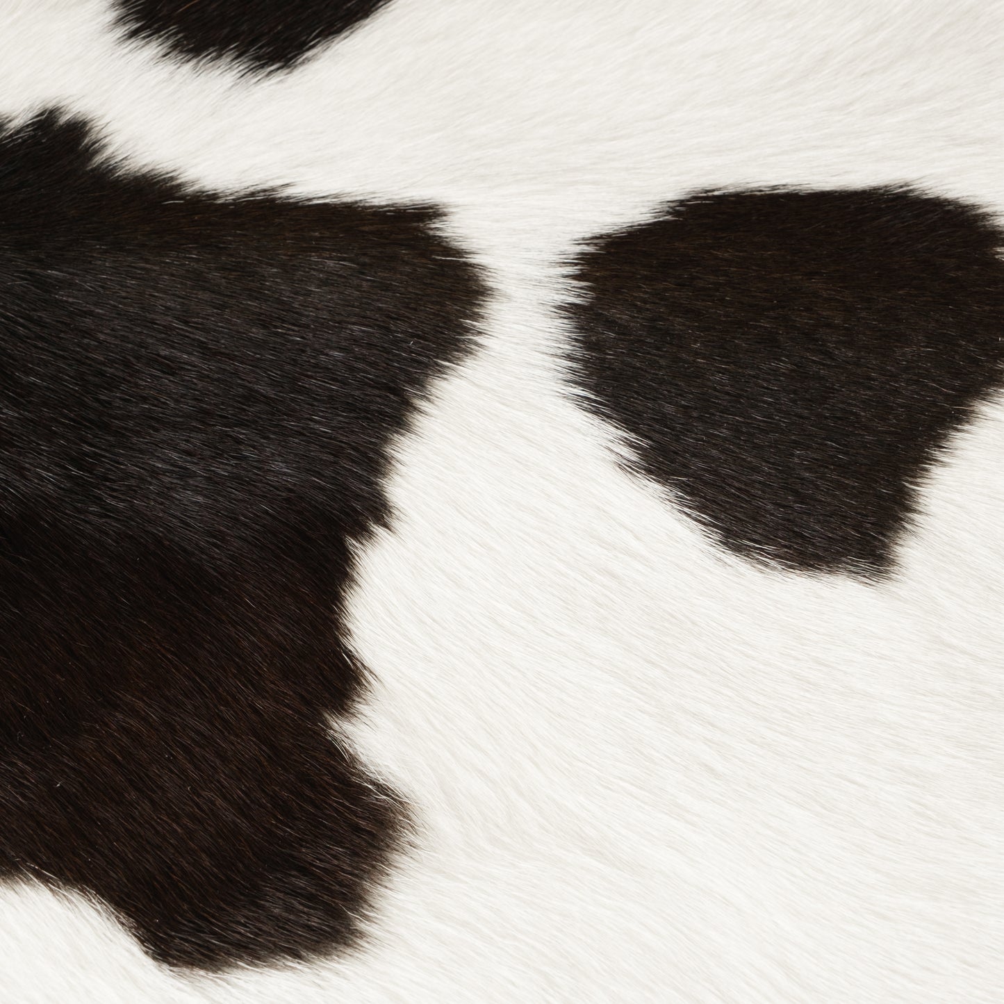 Black & White Calf Skin Rug CF113 Detail Shot 1