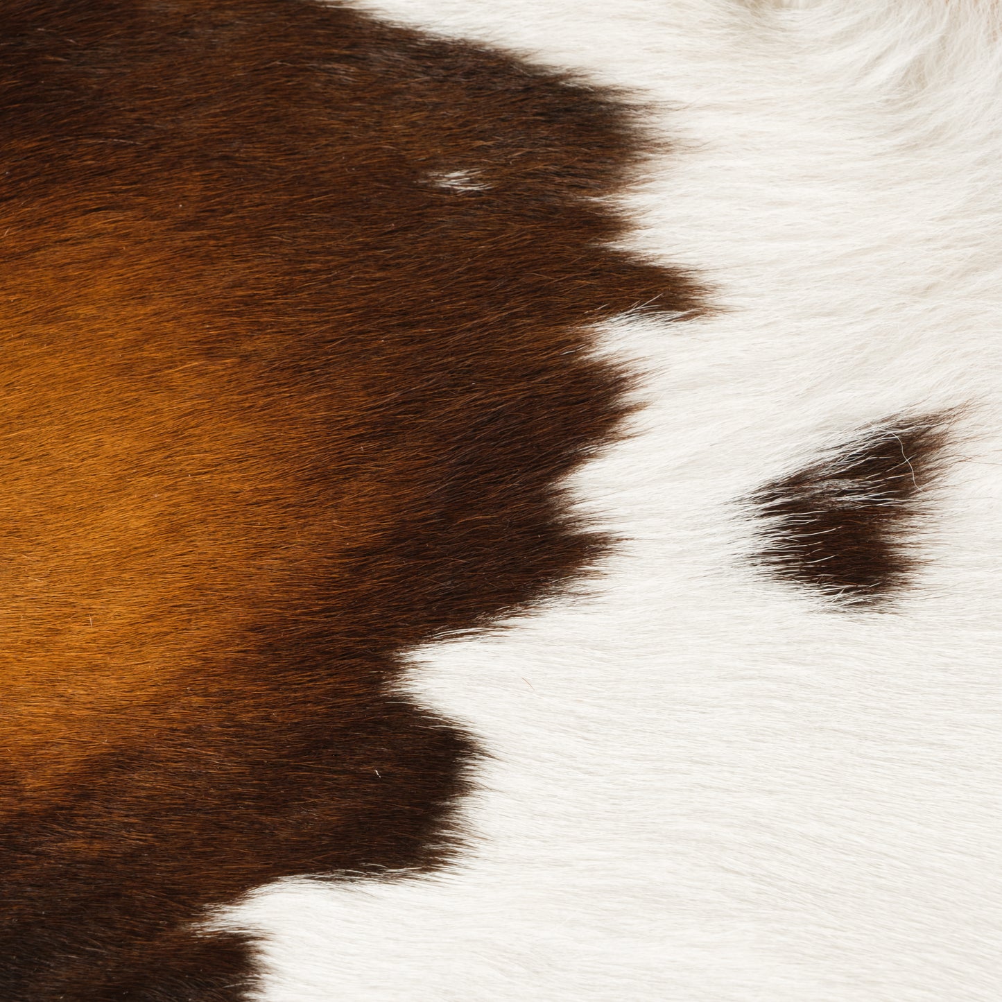 Natural Brown, Black, Copper & White Calf Skin Rug CF120 Detail Shot 1
