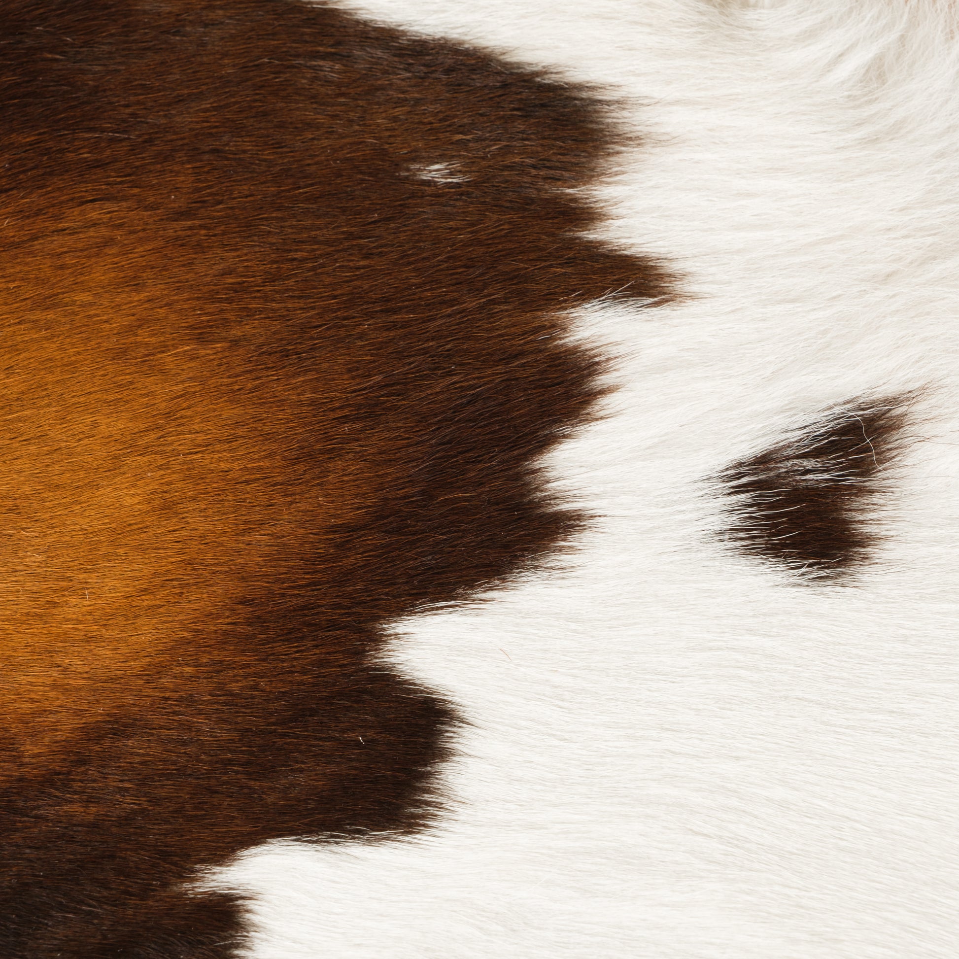 Natural Brown, Black, Copper & White Calf Skin Rug CF120 Detail Shot 1