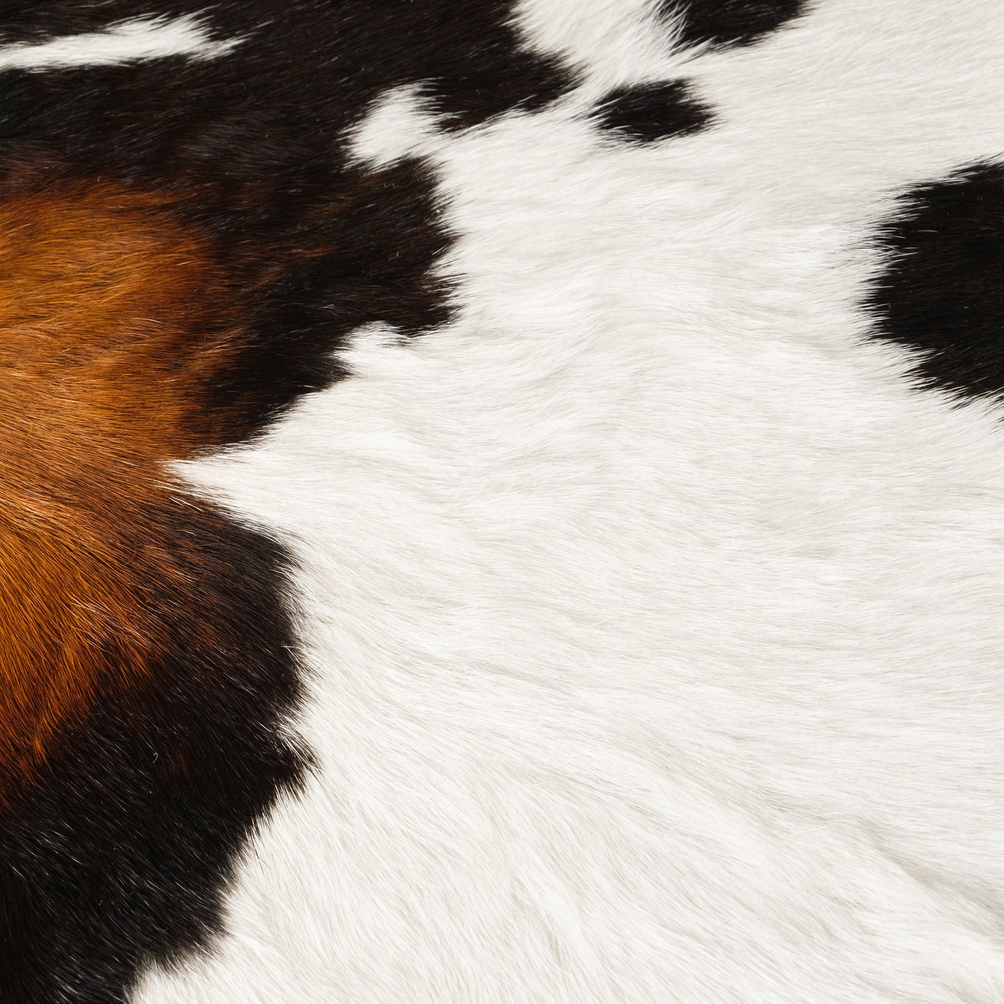 Calf Skin Rug Brown, Black, Copper & White CF129 Detail Shot 1
