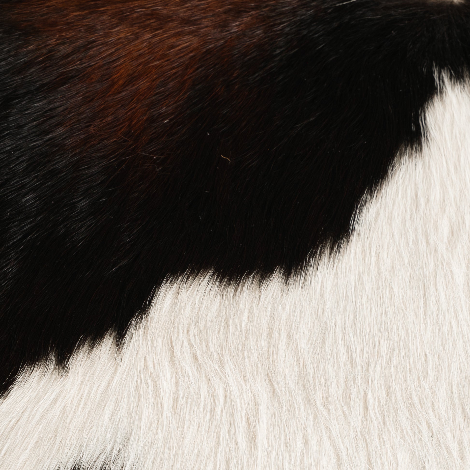 Brown, Black, Copper & White Calf Skin Rug CF131 Detail Shot 1
