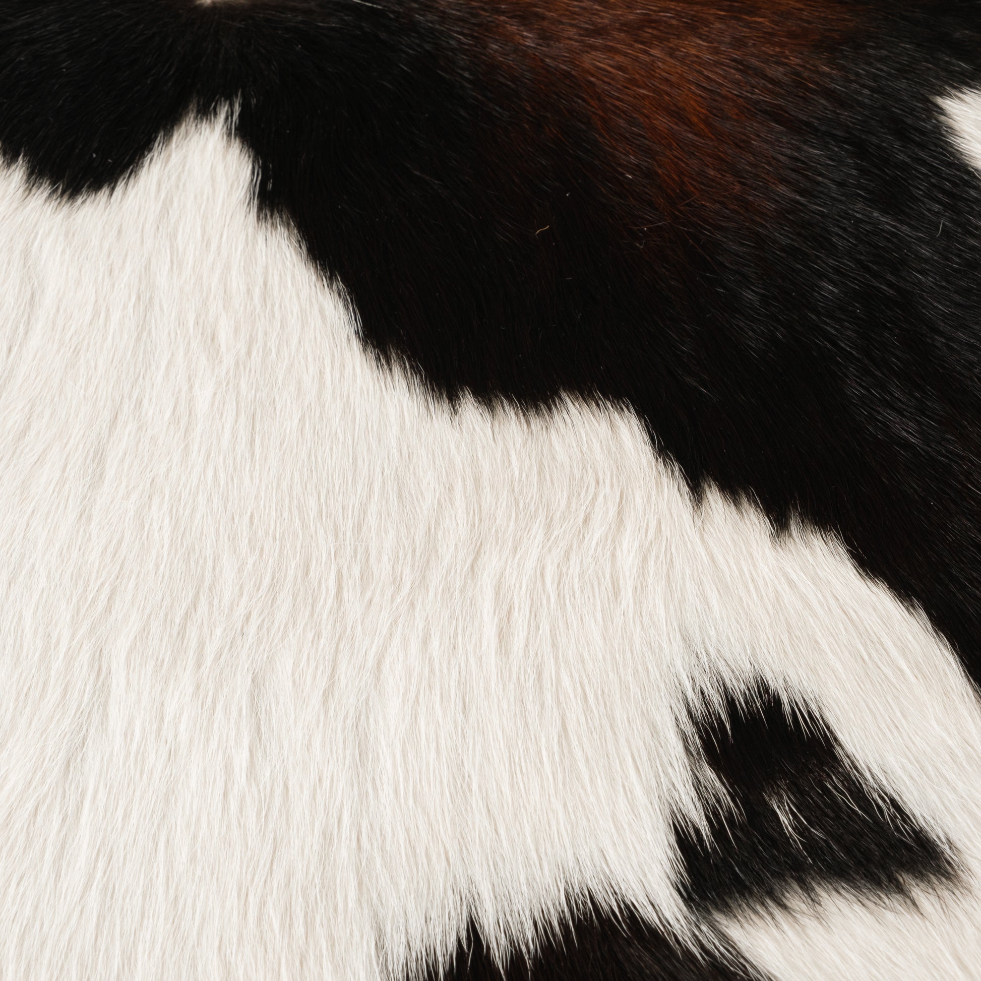 Brown & White Calf Skin Rug CF141 Detail Shot 1