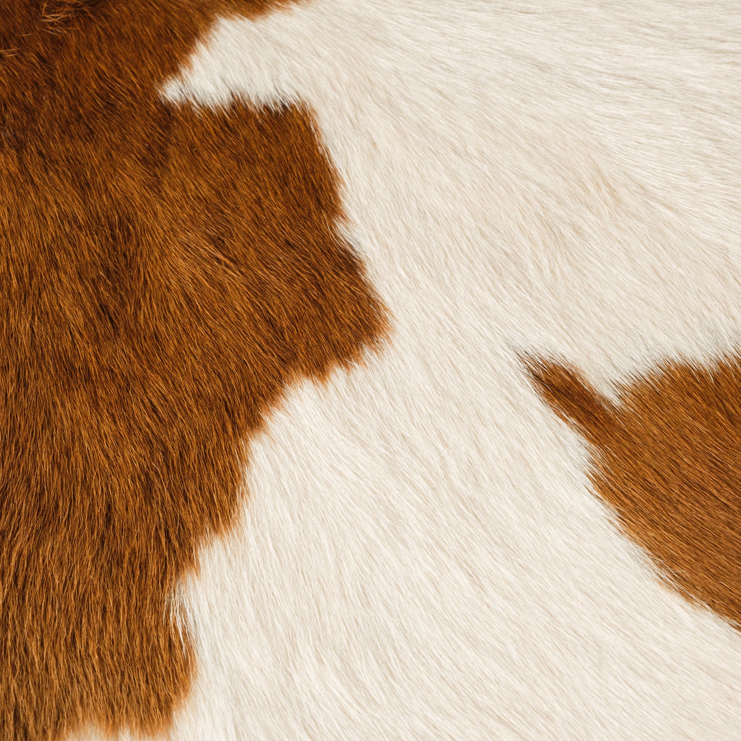 Brown & White Calf Skin Rug CF146 Detail Shot 1