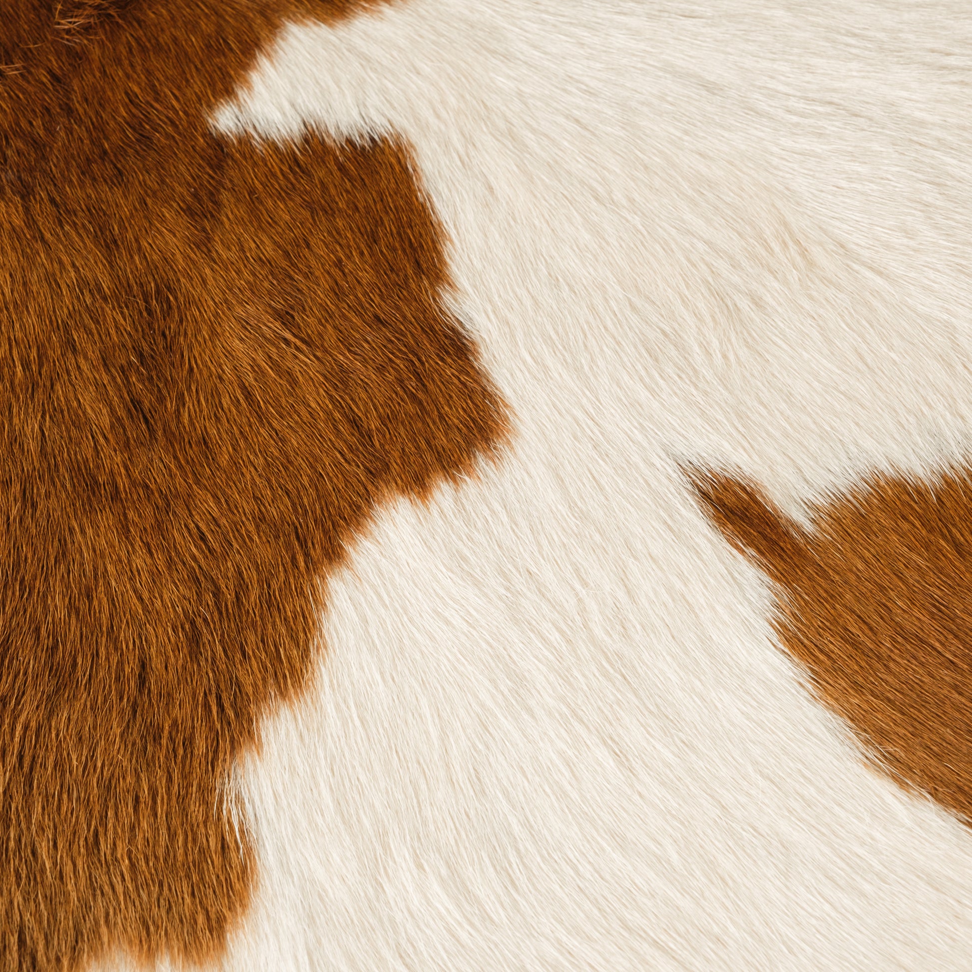 Brown & White Calf Skin Rug CF146 Detail Shot 1