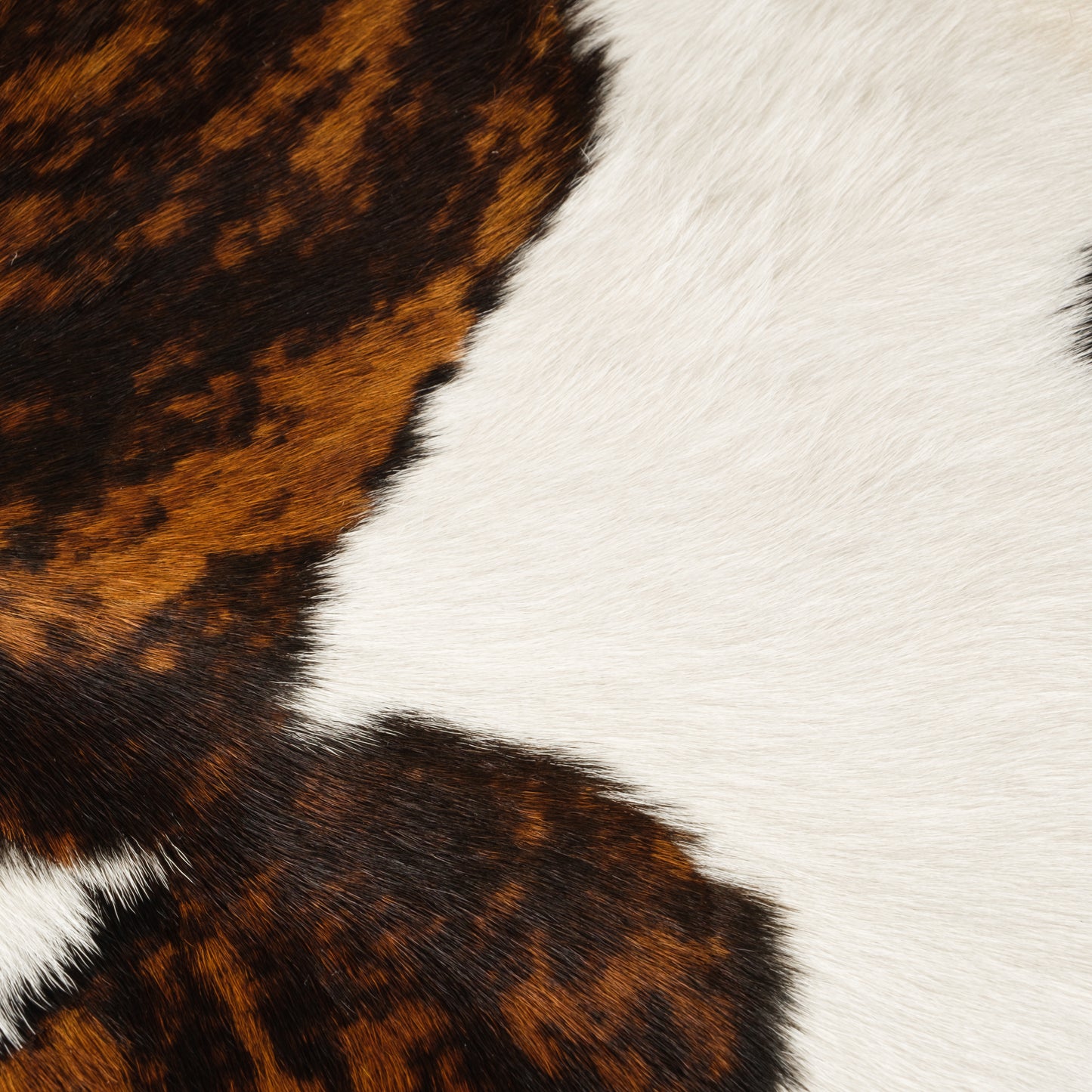 Brown & White Brindle Calf Skin Rug CF151 Detail Shot 1